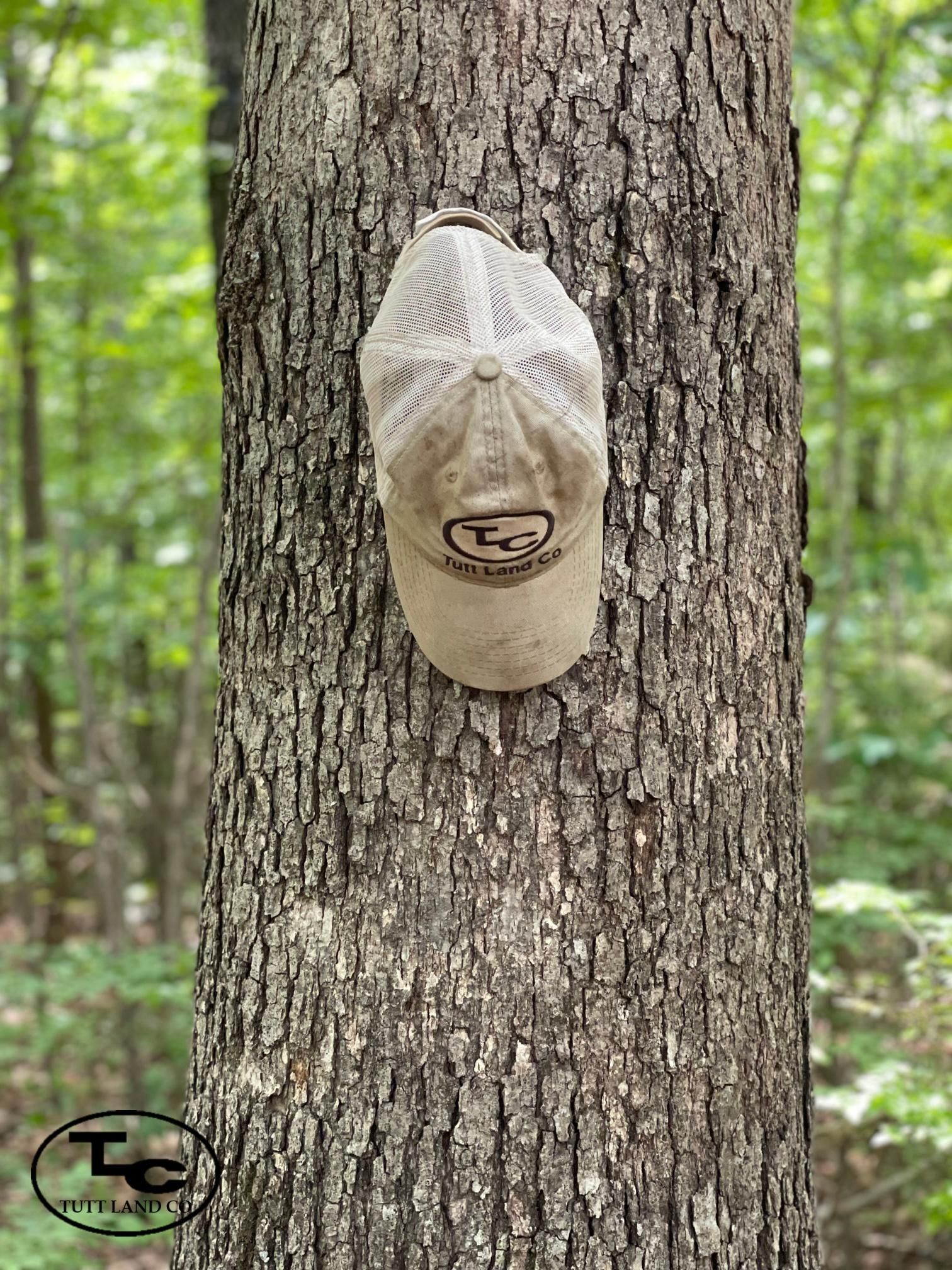 Fackler, Jackson County, AL Recreational Property, Timberland Property