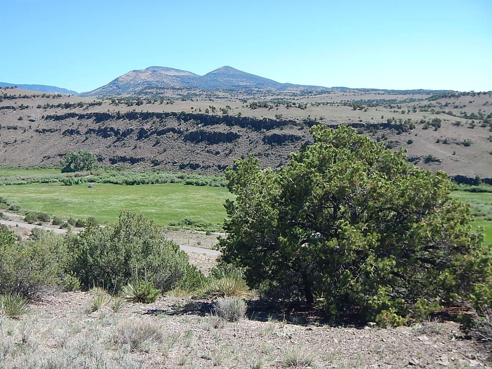 Del Norte, Rio Grande County, CO for sale Property ID 414512975