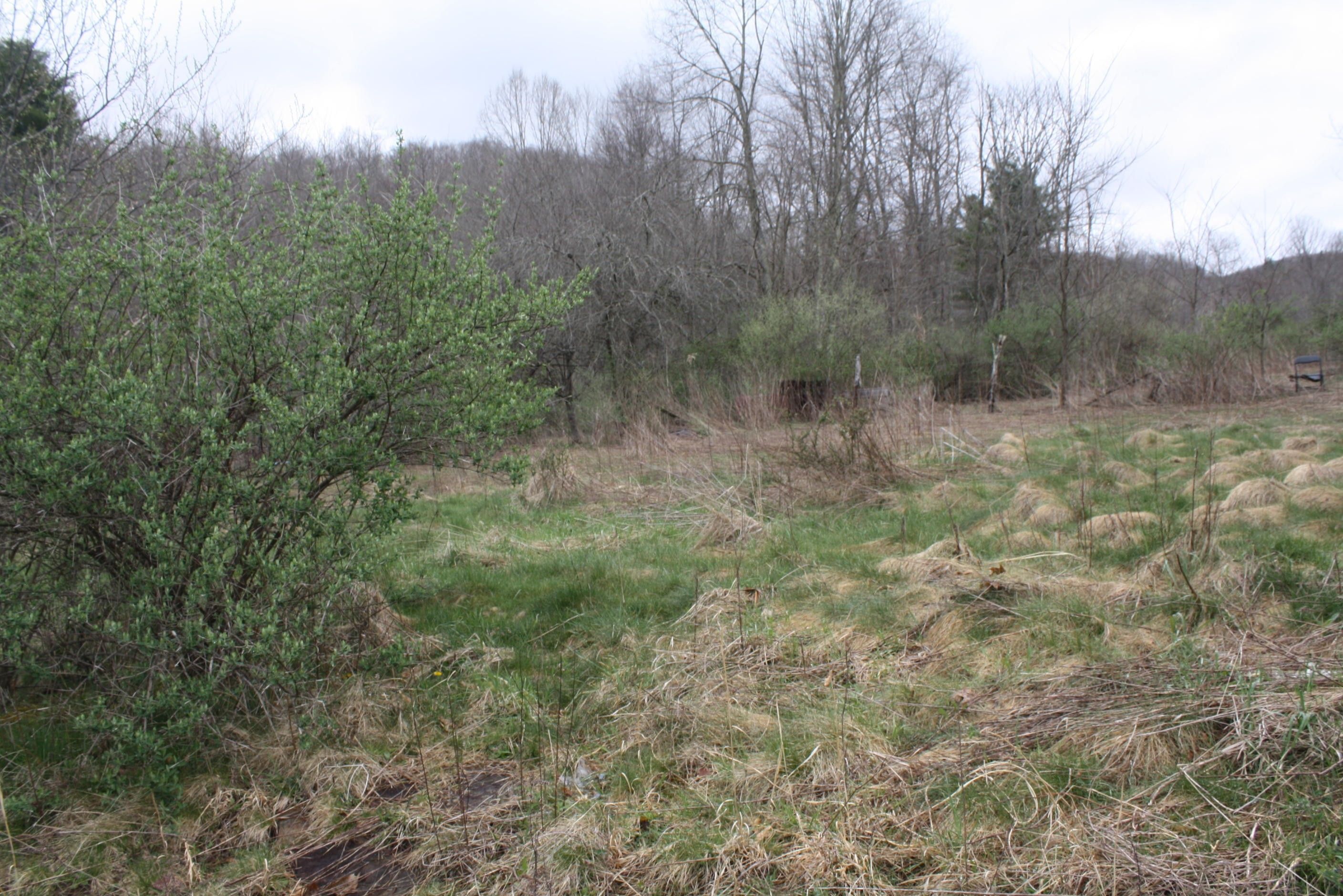 Jumping Branch, Summers County, WV Undeveloped Land, Homesites for sale Property ID 414514111