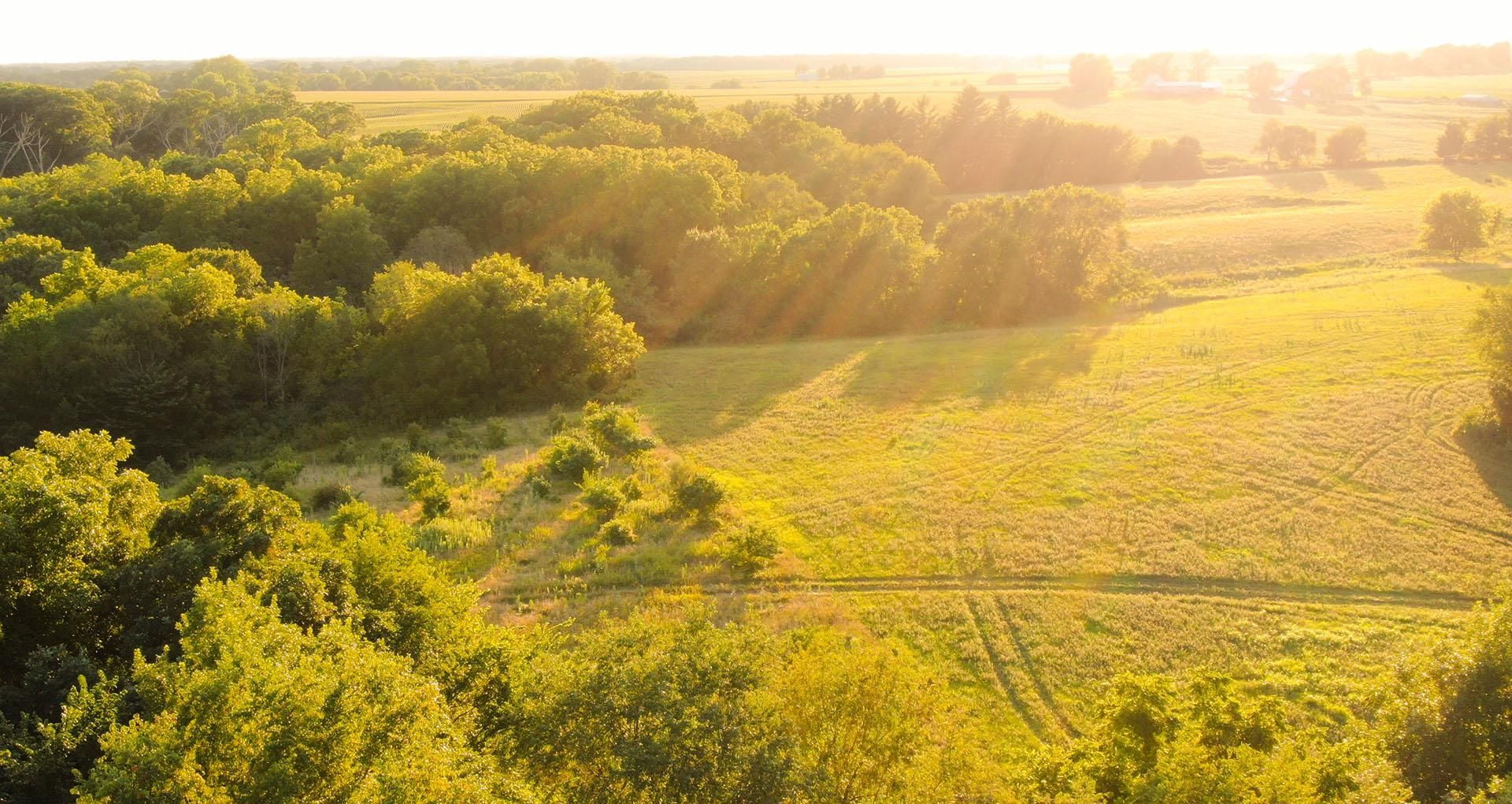Princeville, Peoria County, IL Recreational Property, Undeveloped Land