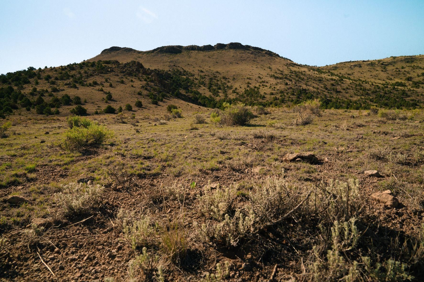 Del Norte, Rio Grande County, CO Recreational Property, Hunting