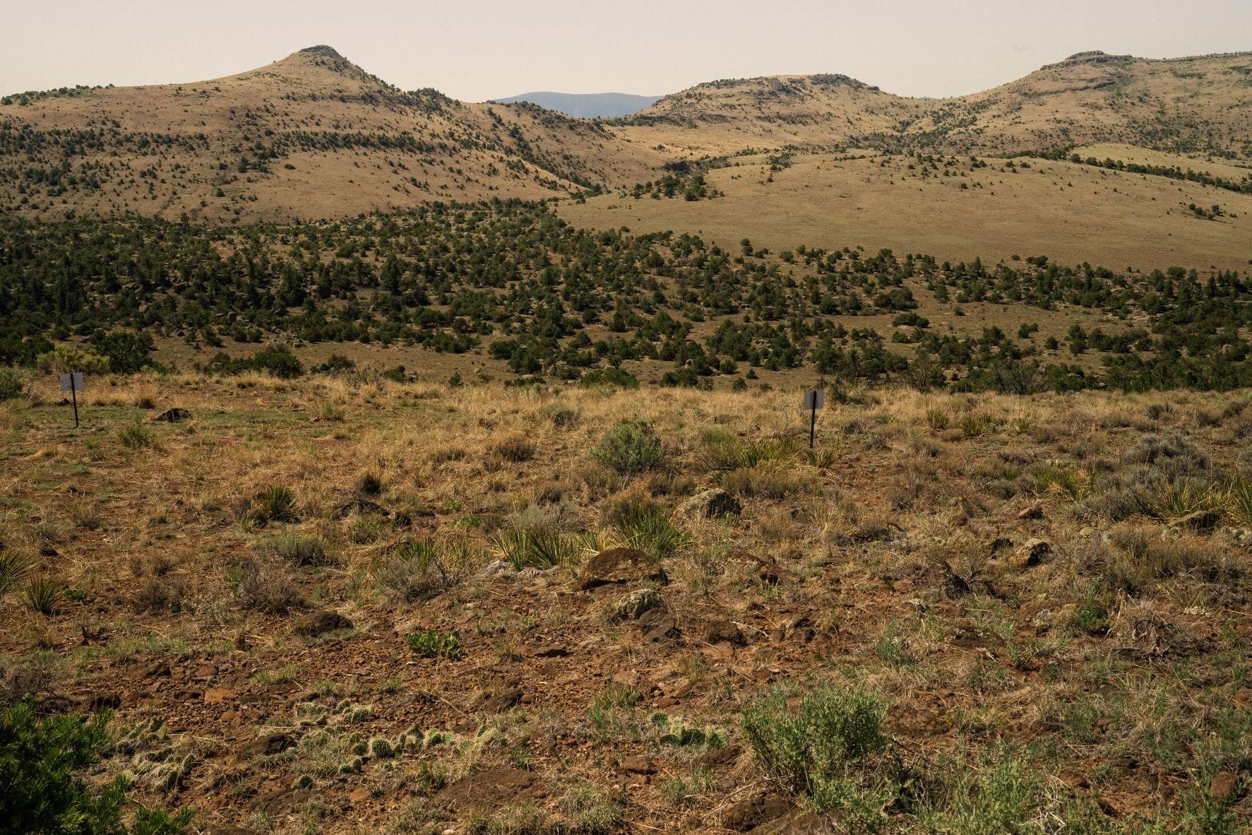 Del Norte, Rio Grande County, CO Undeveloped Land for sale Property ID