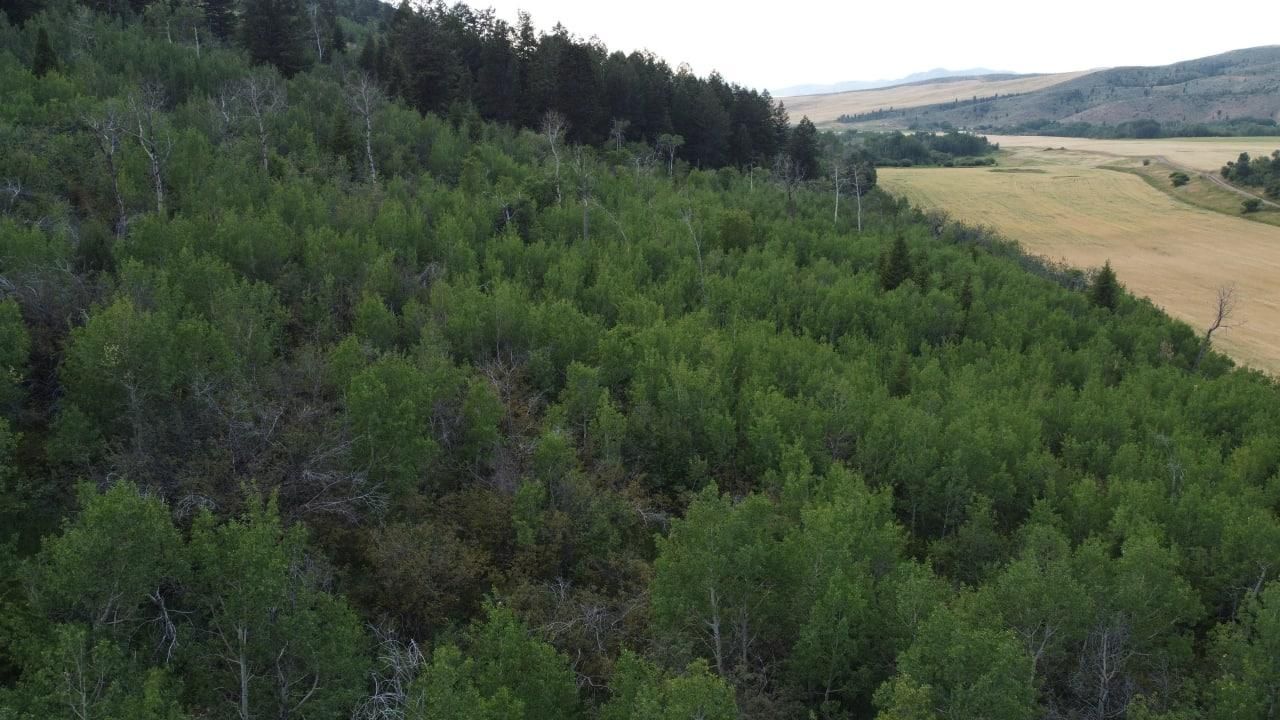 Soda Springs, Caribou County, ID Recreational Property, Undeveloped