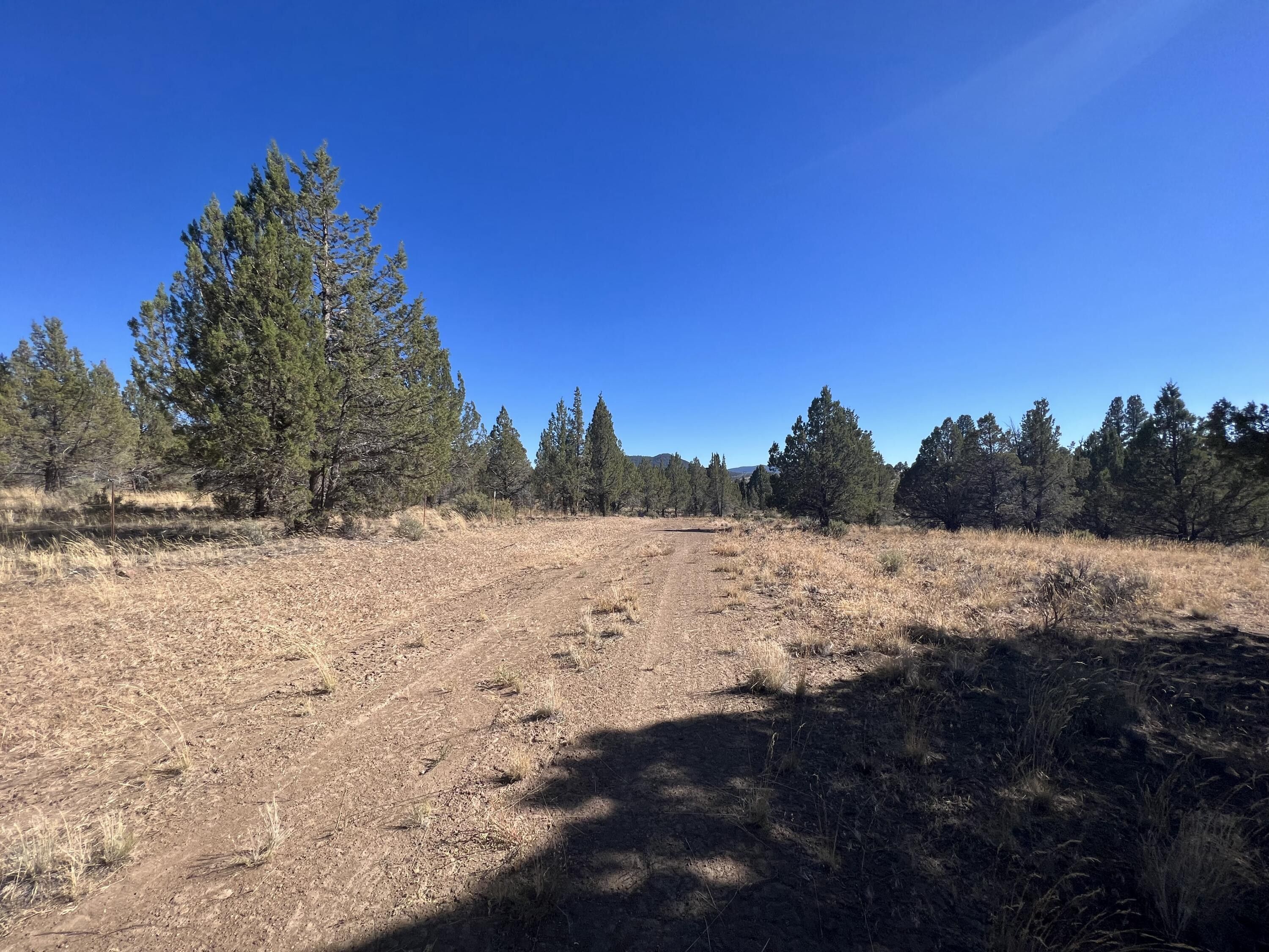 Beatty, Klamath County, OR Undeveloped Land, Homesites for sale