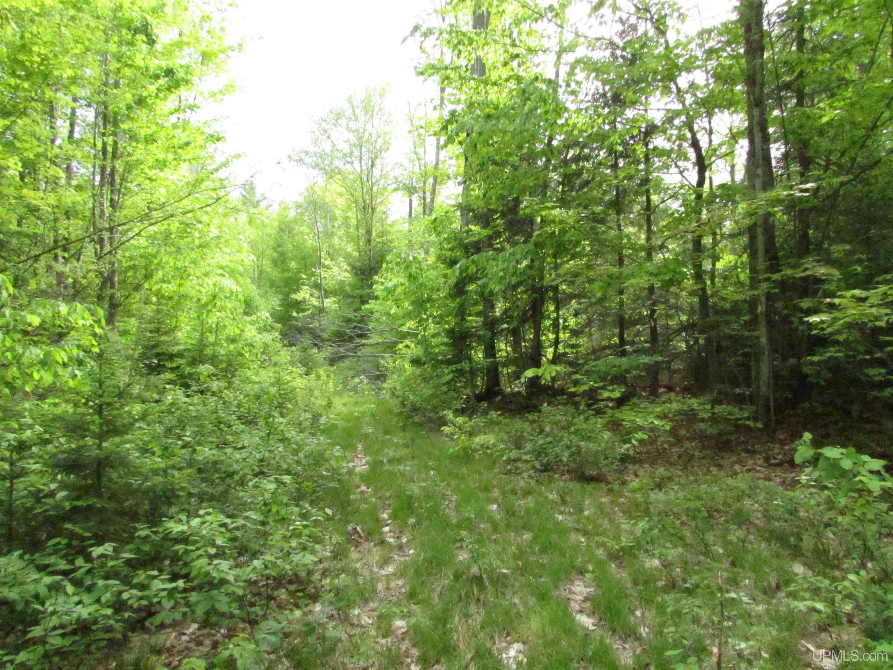 Munising, Alger County, MI Undeveloped Land for sale Property ID