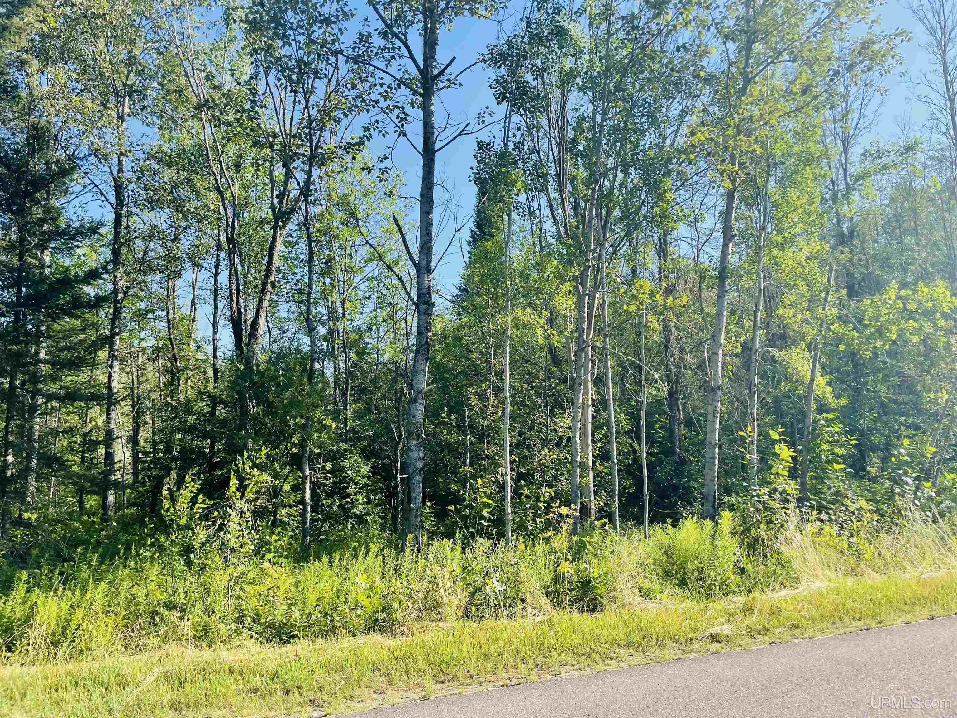 Rock, Marquette County, MI Undeveloped Land for sale Property ID