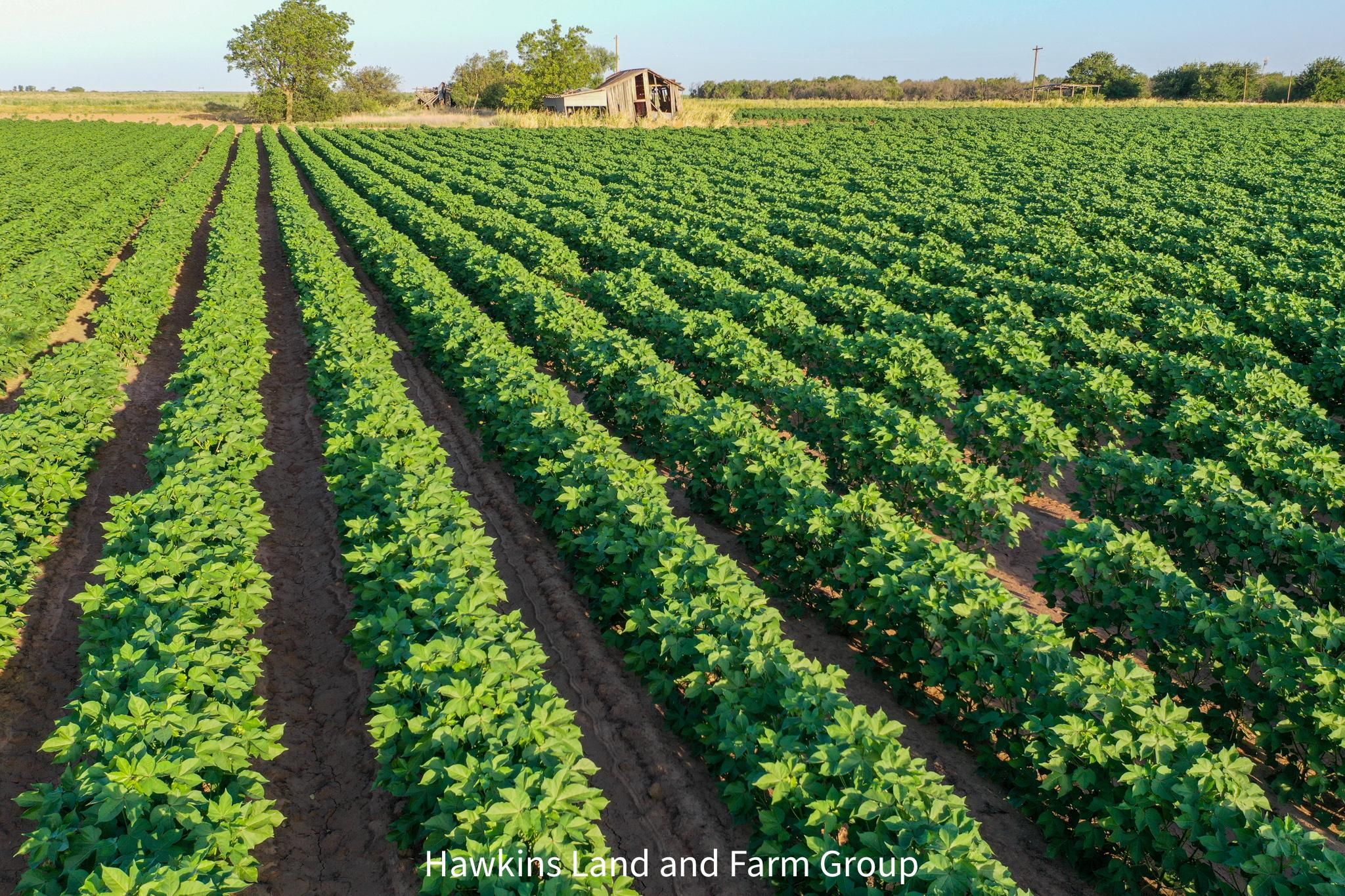 160 acres in Munday, TX, 76371 LandWatch