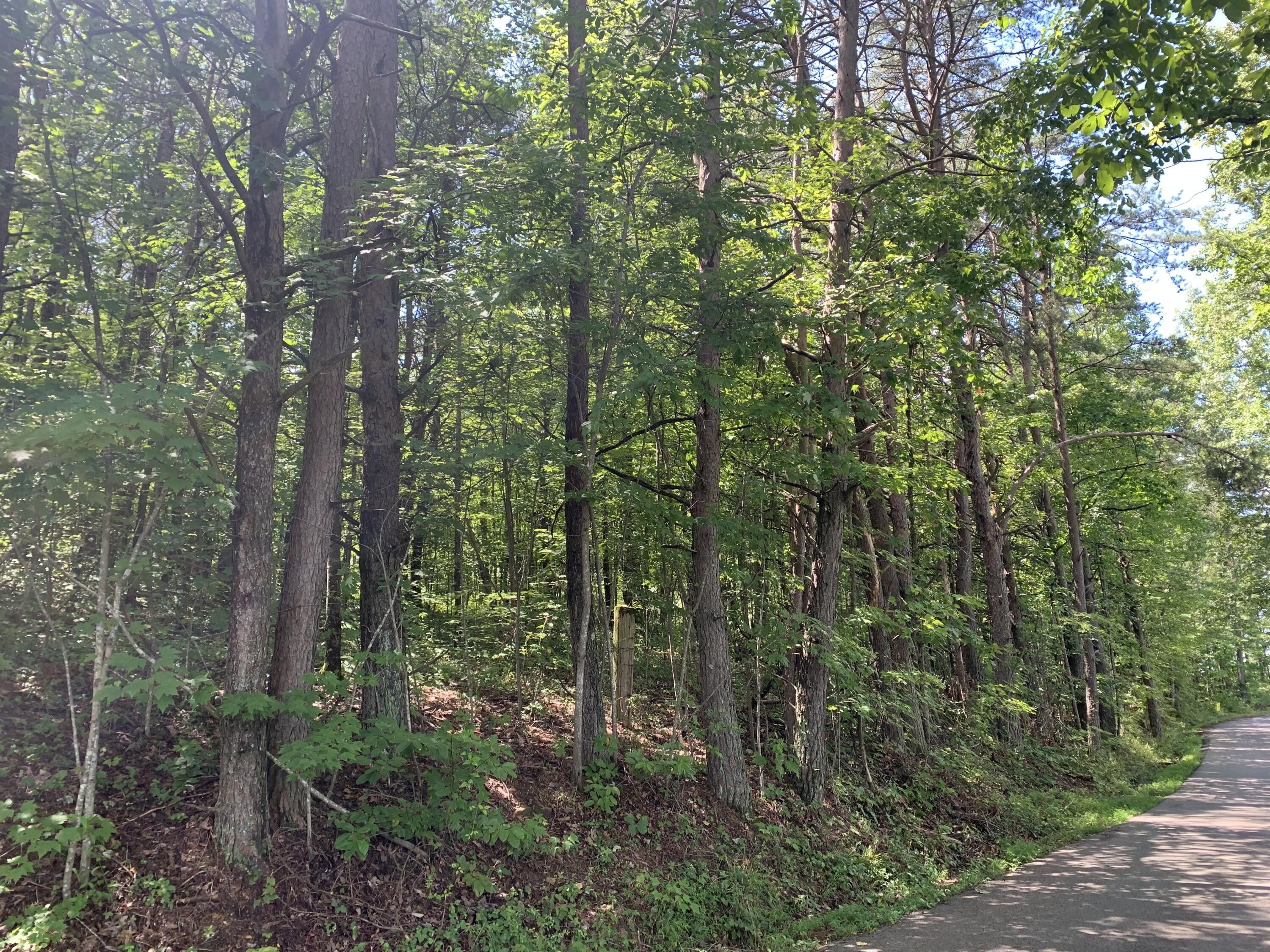 East Bernstadt, Laurel County, KY Farms and Ranches, Homesites for sale