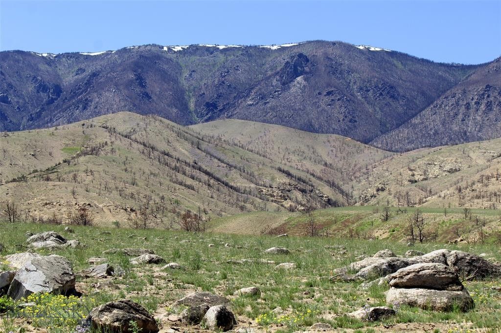 Belfry, Carbon County, MT Undeveloped Land for sale Property ID