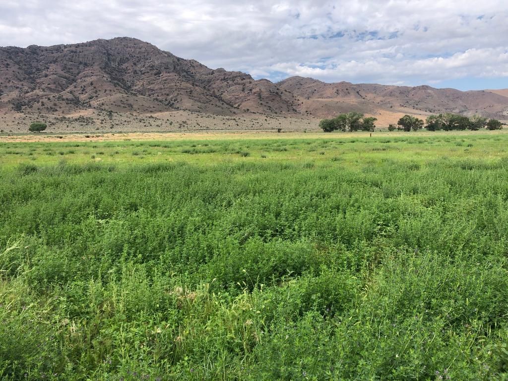 56 Canal Rd, Wellington, NV 89444 LandWatch