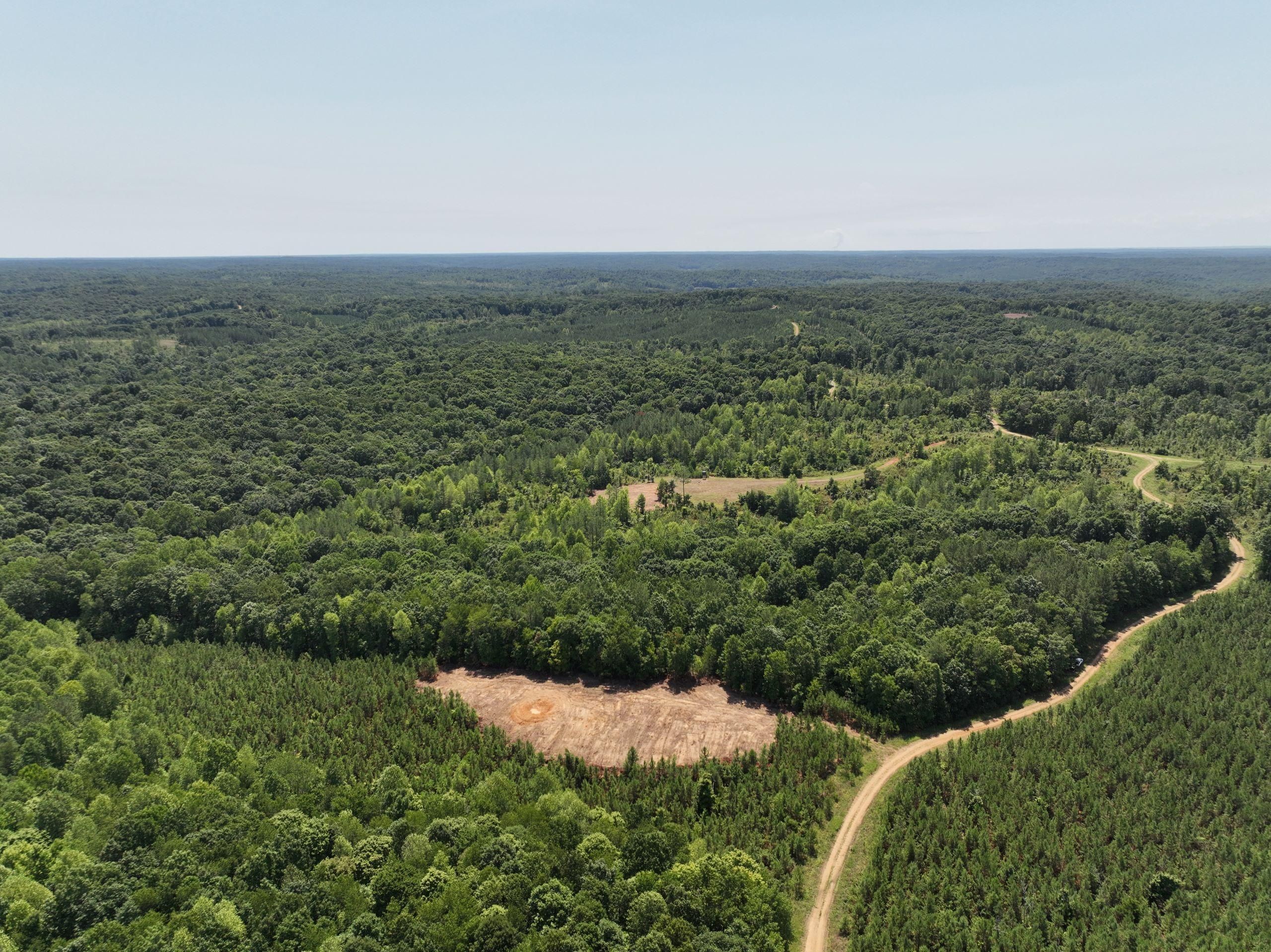 Cadiz, Trigg County, KY Recreational Property, Timberland Property