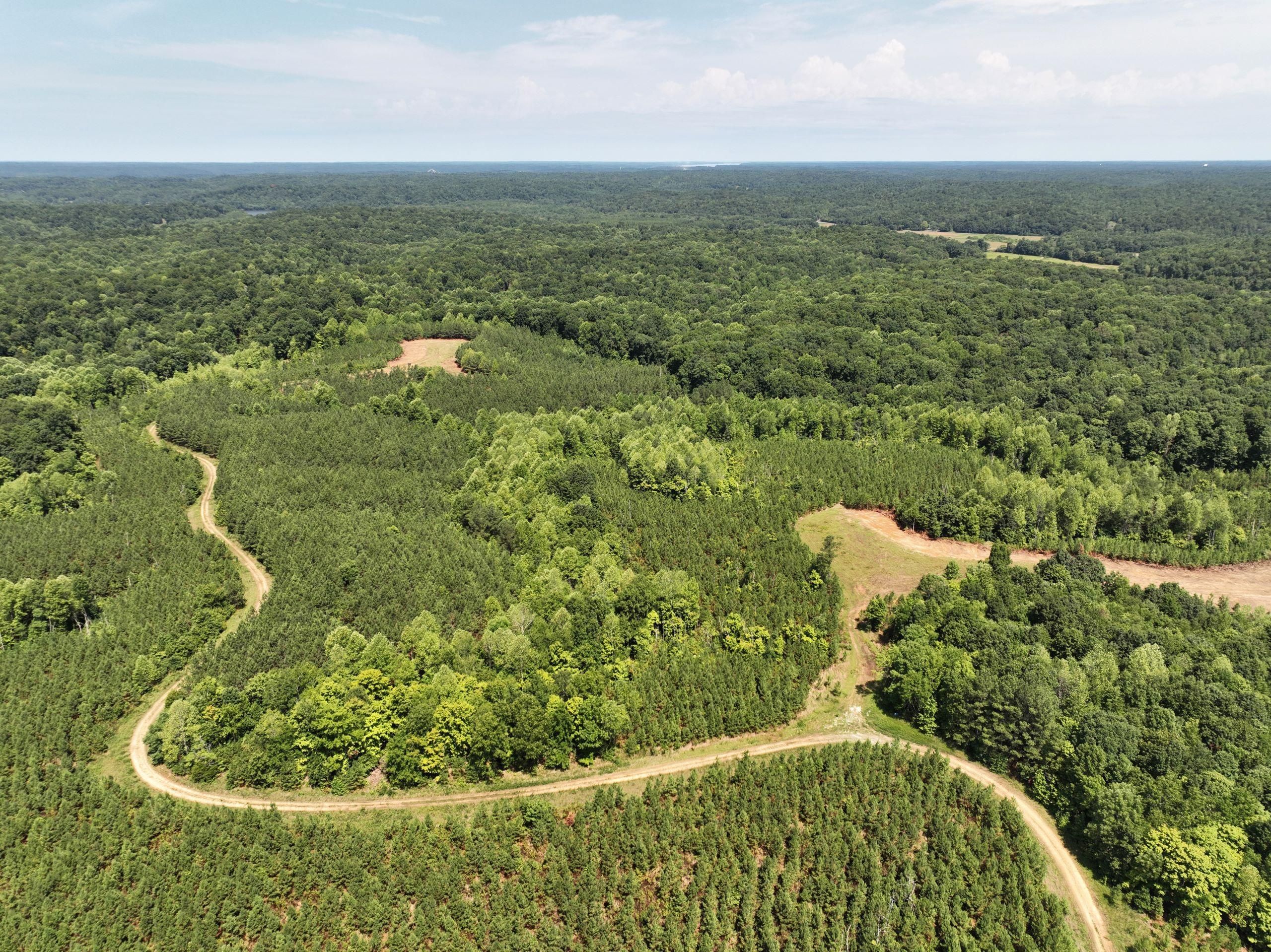 Cadiz, Trigg County, KY Recreational Property, Timberland Property