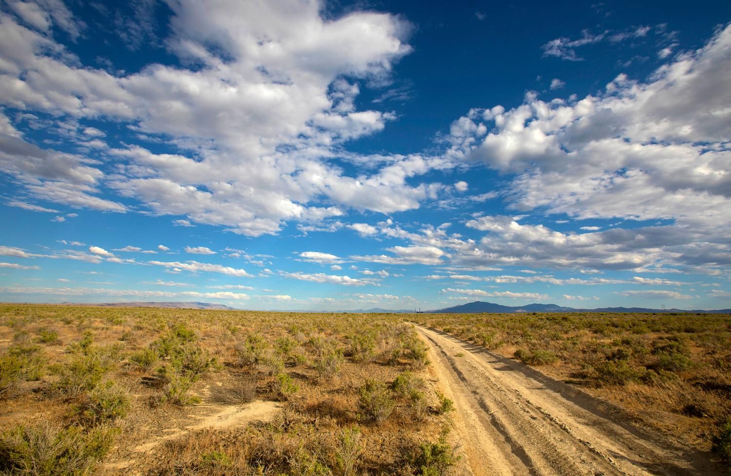 40-1-acres-in-golconda-nv-89414-landwatch