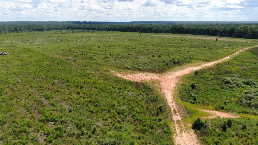 Silverstreet, Newberry County, SC Recreational Property, Hunting