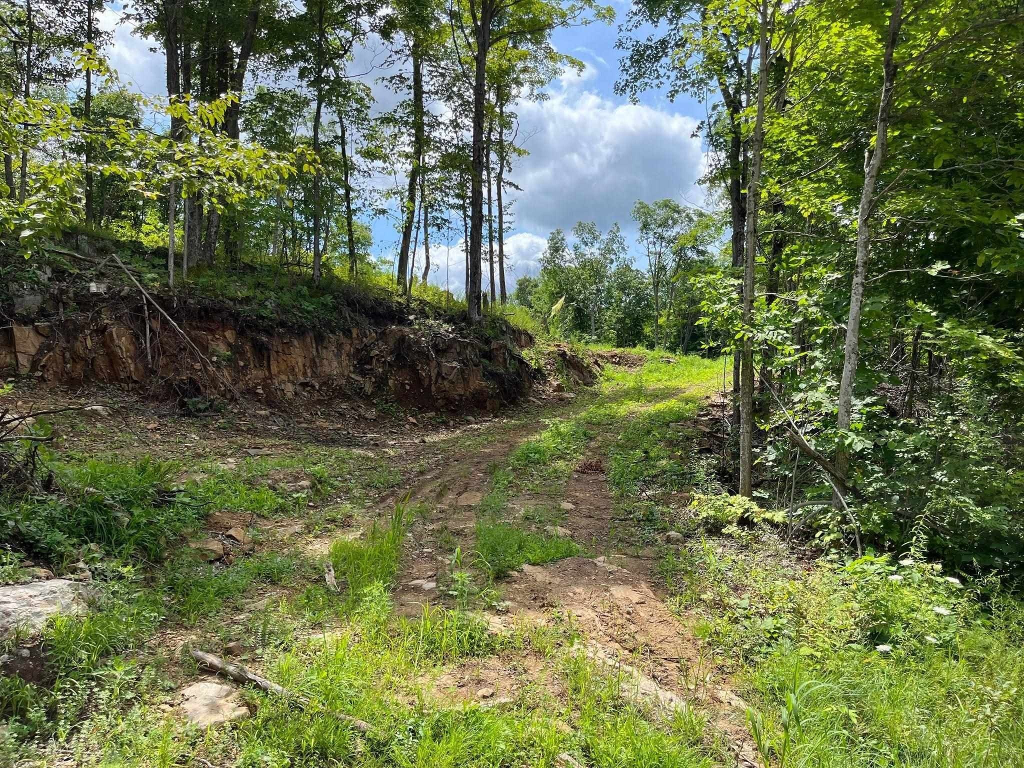 Hammond, Saint Lawrence County, NY Undeveloped Land for sale Property ID 414528706 LandWatch