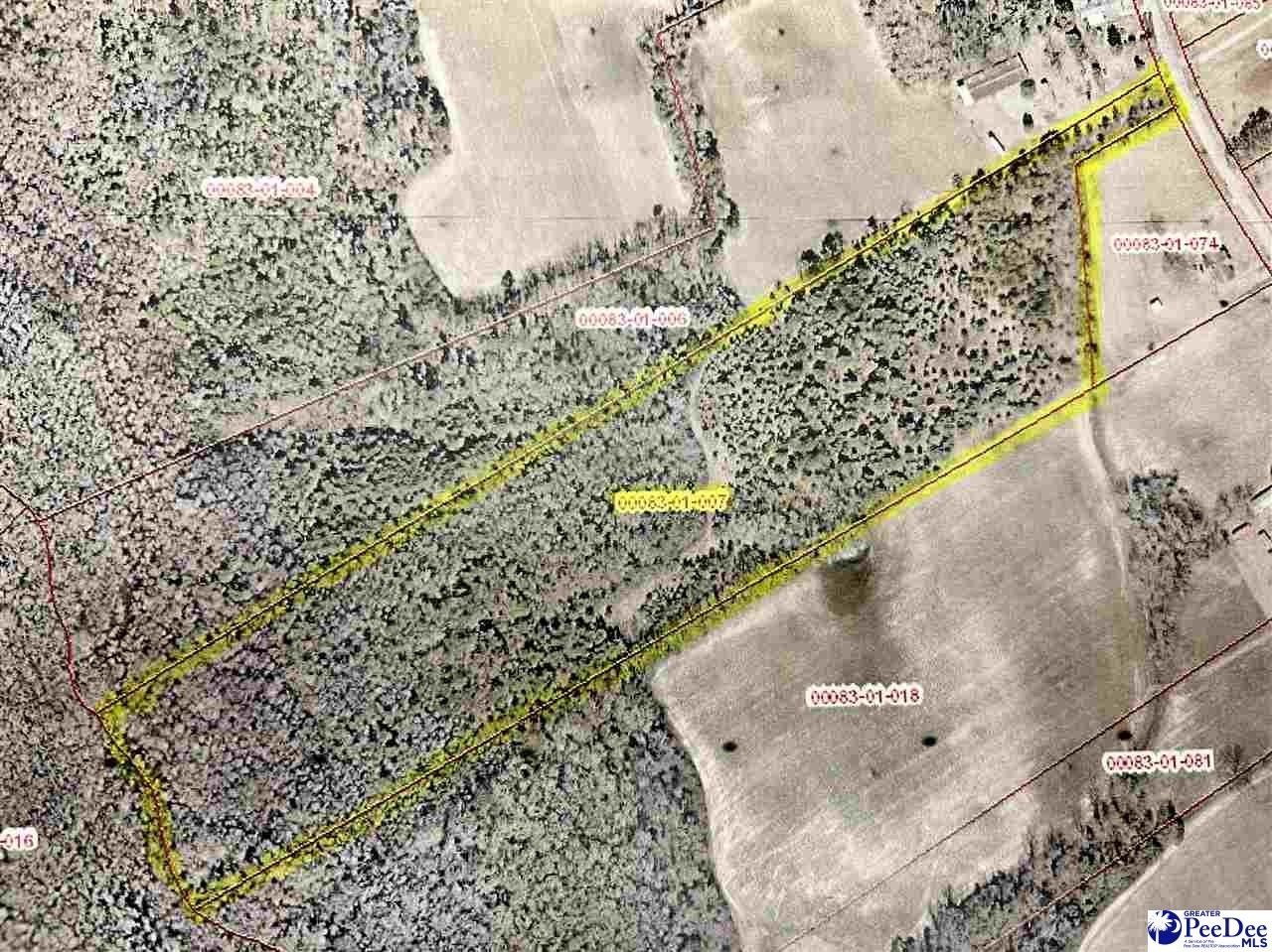 Timmonsville, Florence County, SC Undeveloped Land for sale Property ID