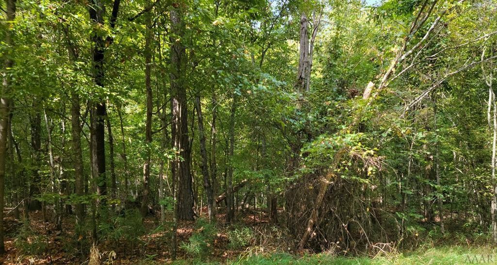 Hertford, Perquimans County, NC Undeveloped Land, Homesites for sale