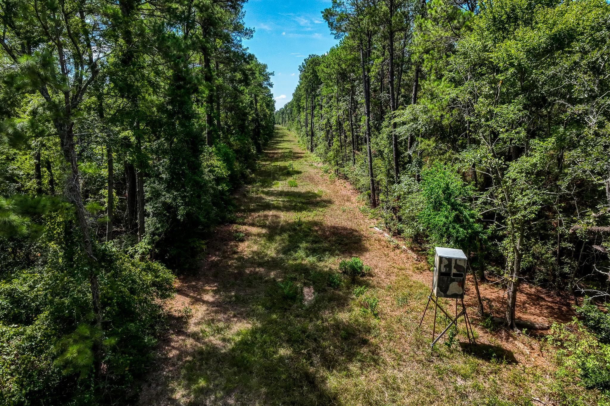 Waller, Waller County, TX Farms and Ranches, Recreational Property