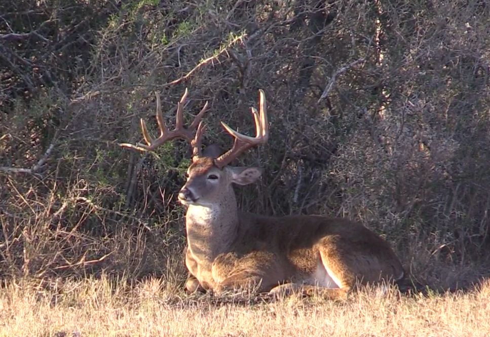 West, Duval County, TX Farms and Ranches, Recreational Property