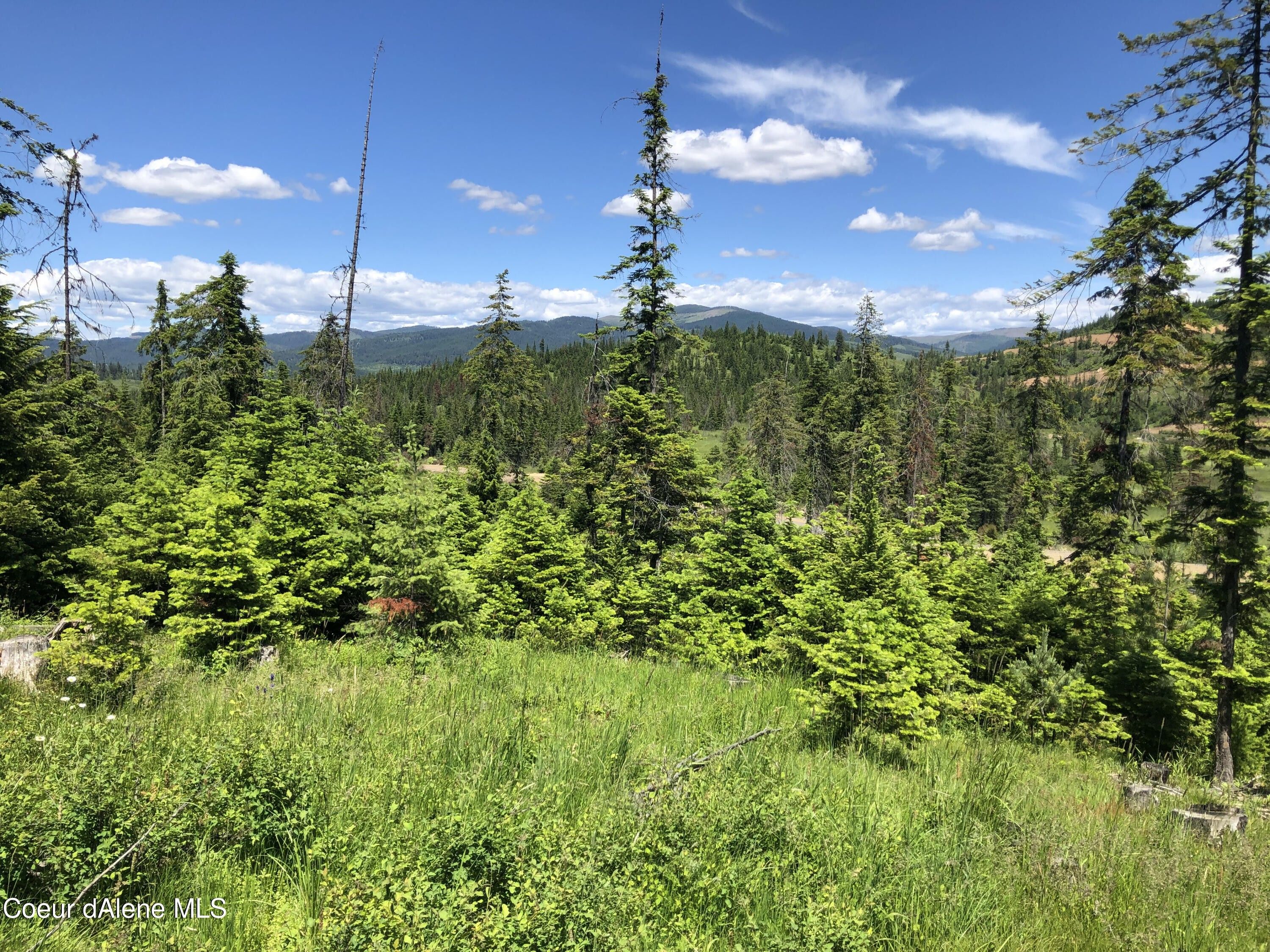 Fernwood, Benewah County, ID Undeveloped Land for sale Property ID