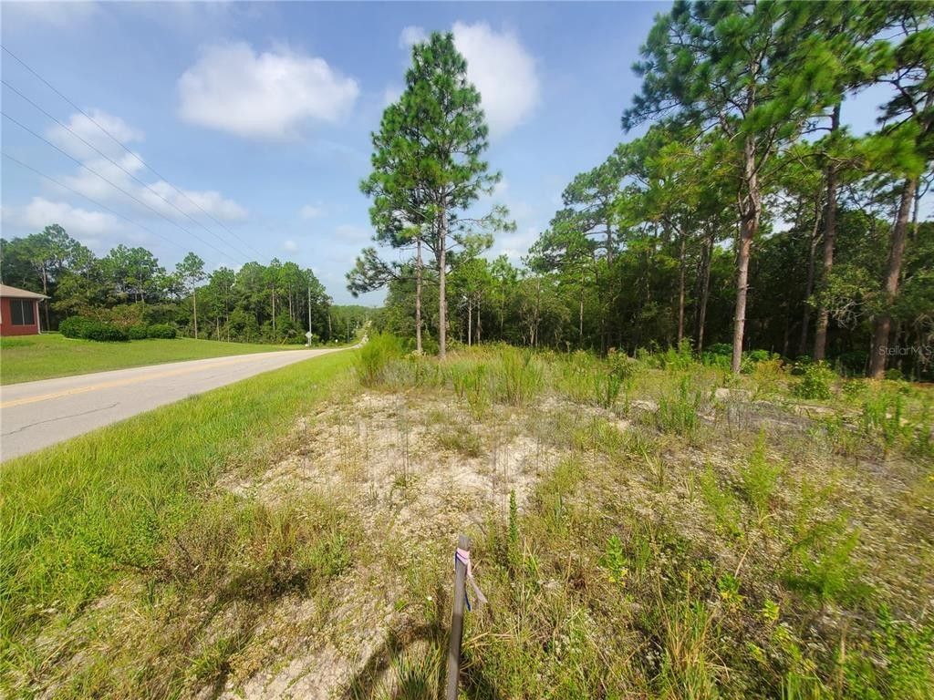 Floral City, Citrus County, FL Farms and Ranches, Homesites for sale