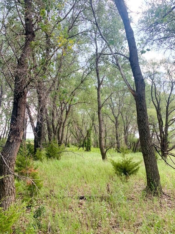Aline, Alfalfa County, OK Undeveloped Land for sale Property ID