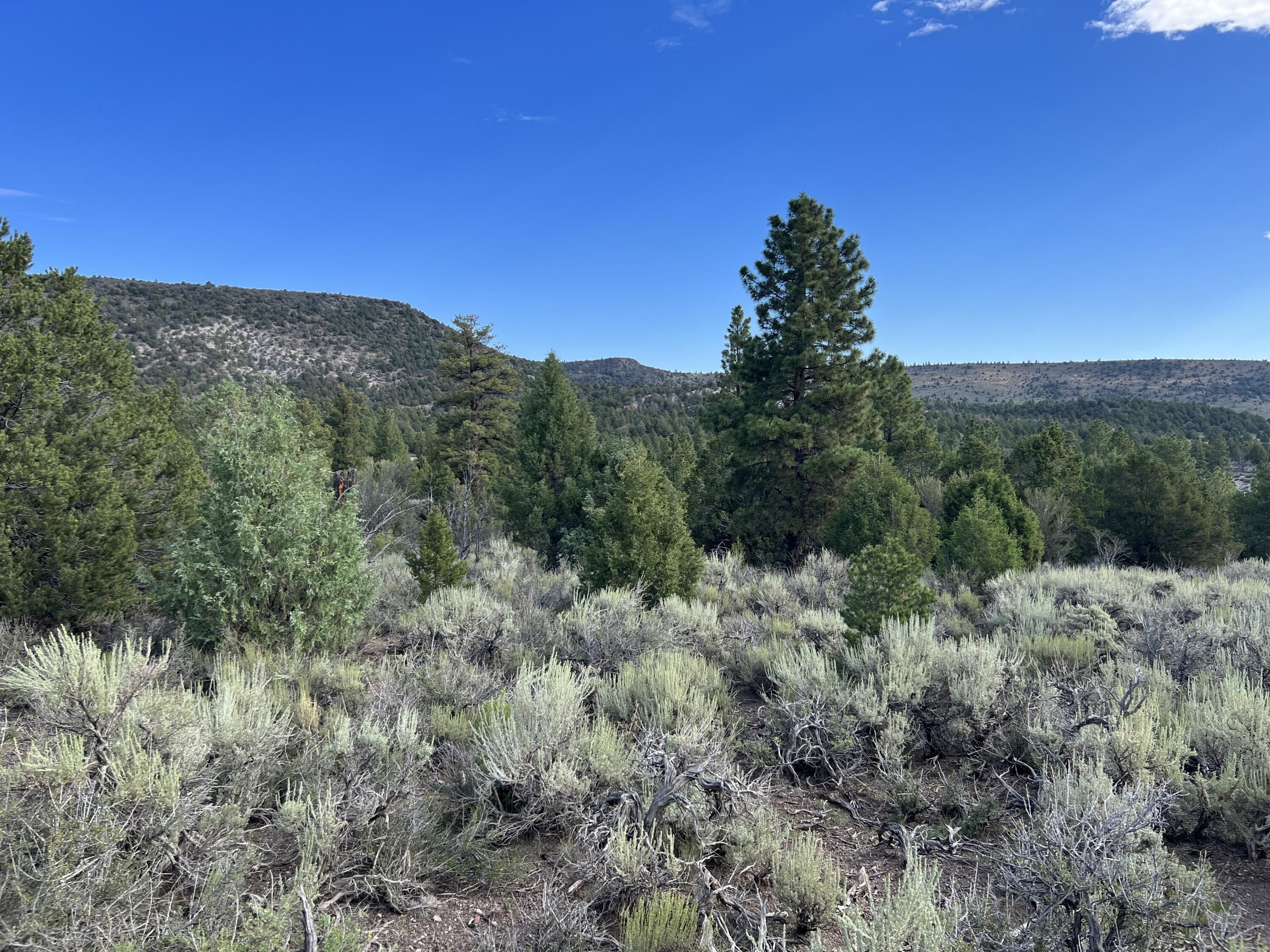 Panguitch, Garfield County, UT Homesites for sale Property ID