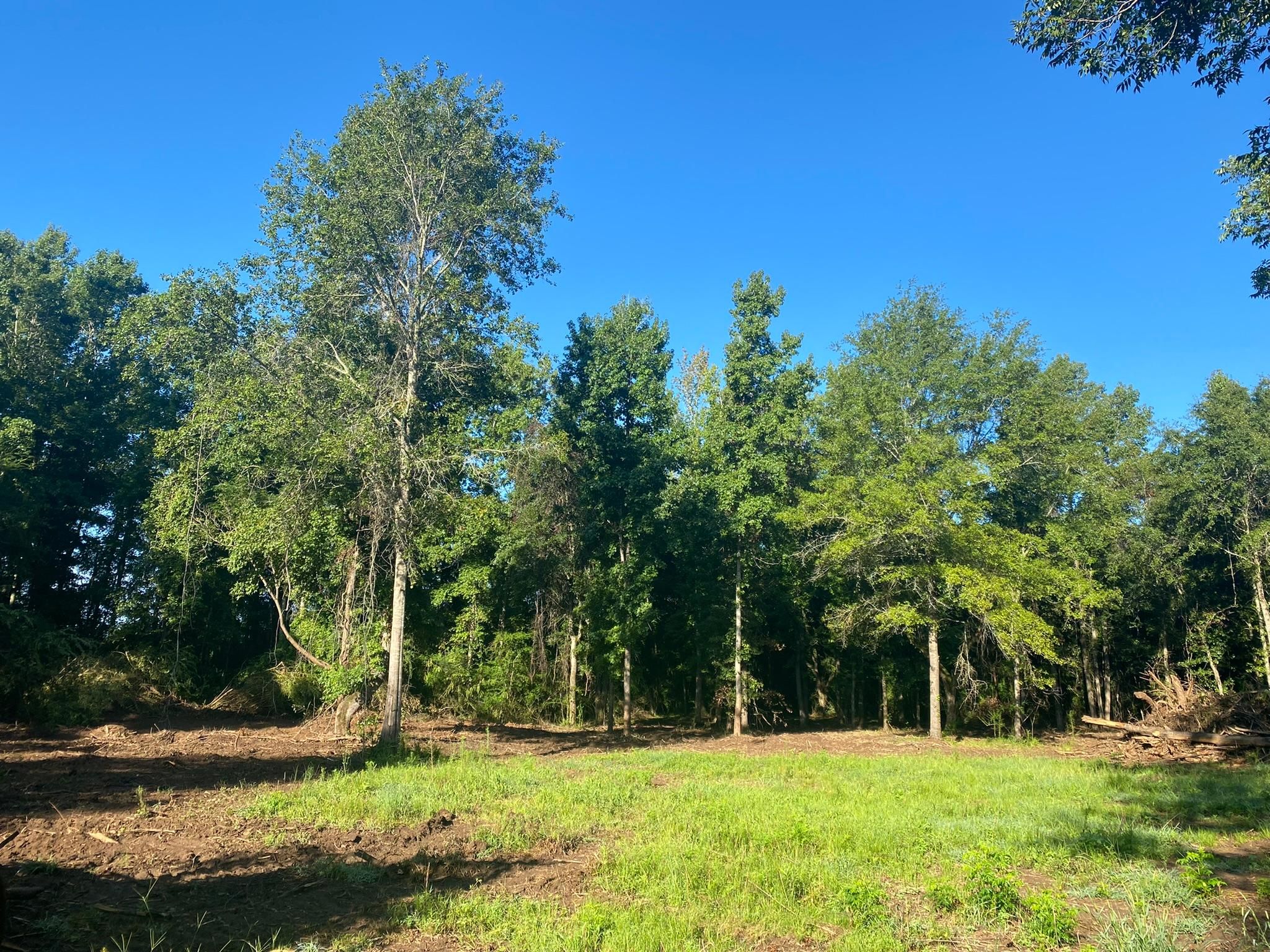 Dawson, Terrell County, GA Recreational Property, Undeveloped Land