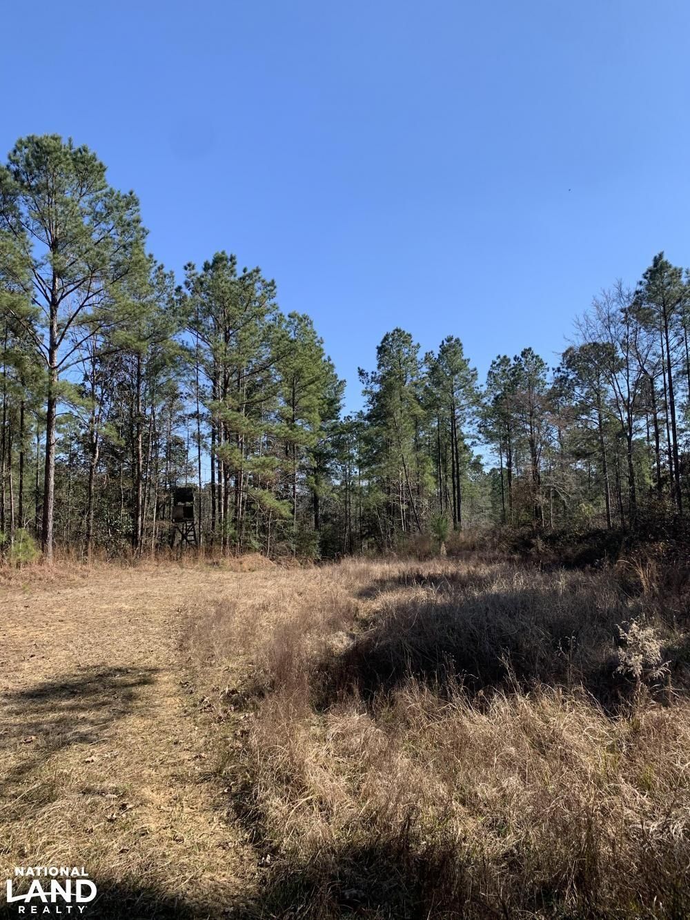 Saint Francisville, West Feliciana Parish, LA Recreational Property