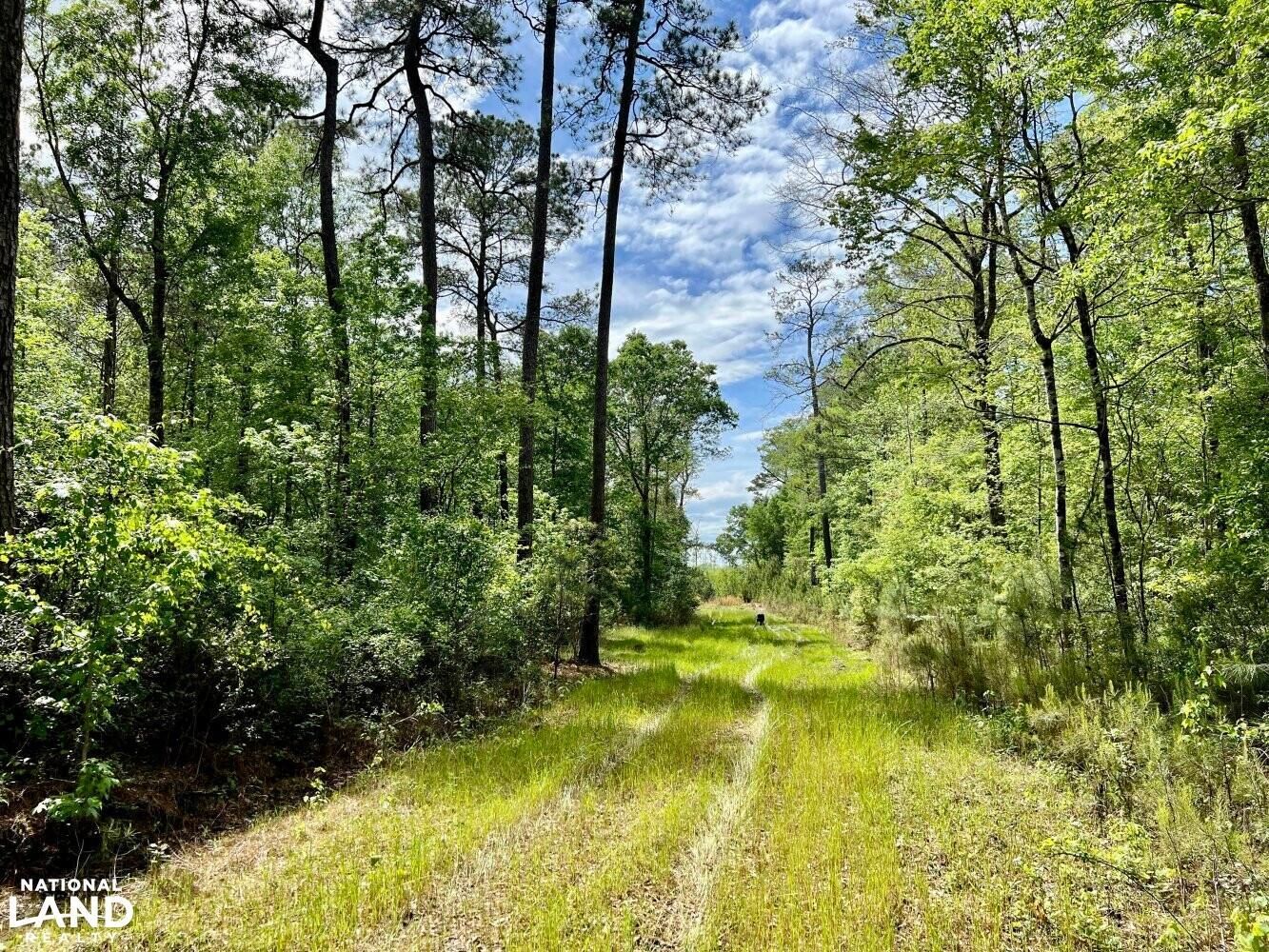 Stockton, Baldwin County, AL Recreational Property, Timberland Property