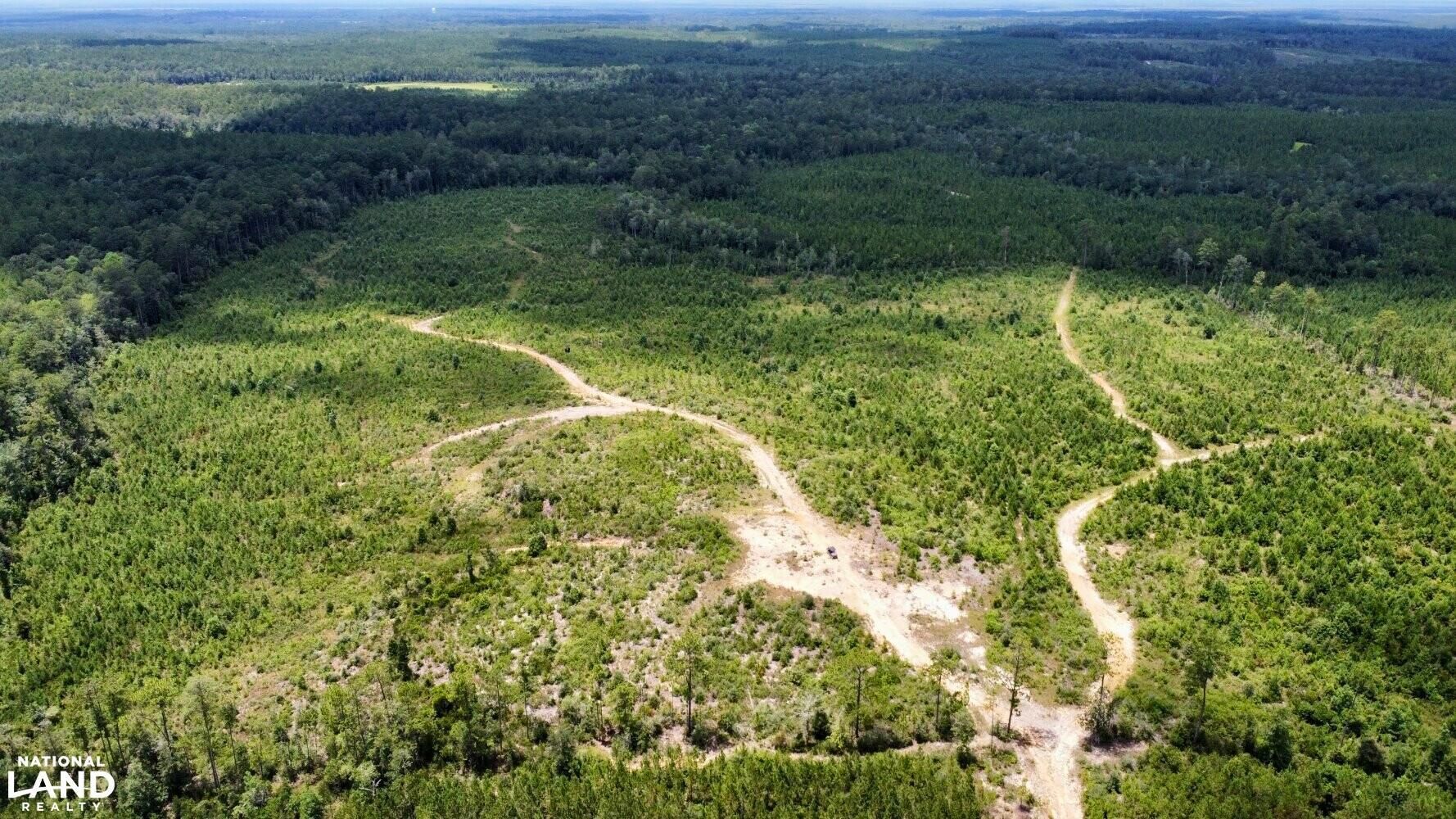 Stockton, Baldwin County, AL Recreational Property, Timberland Property