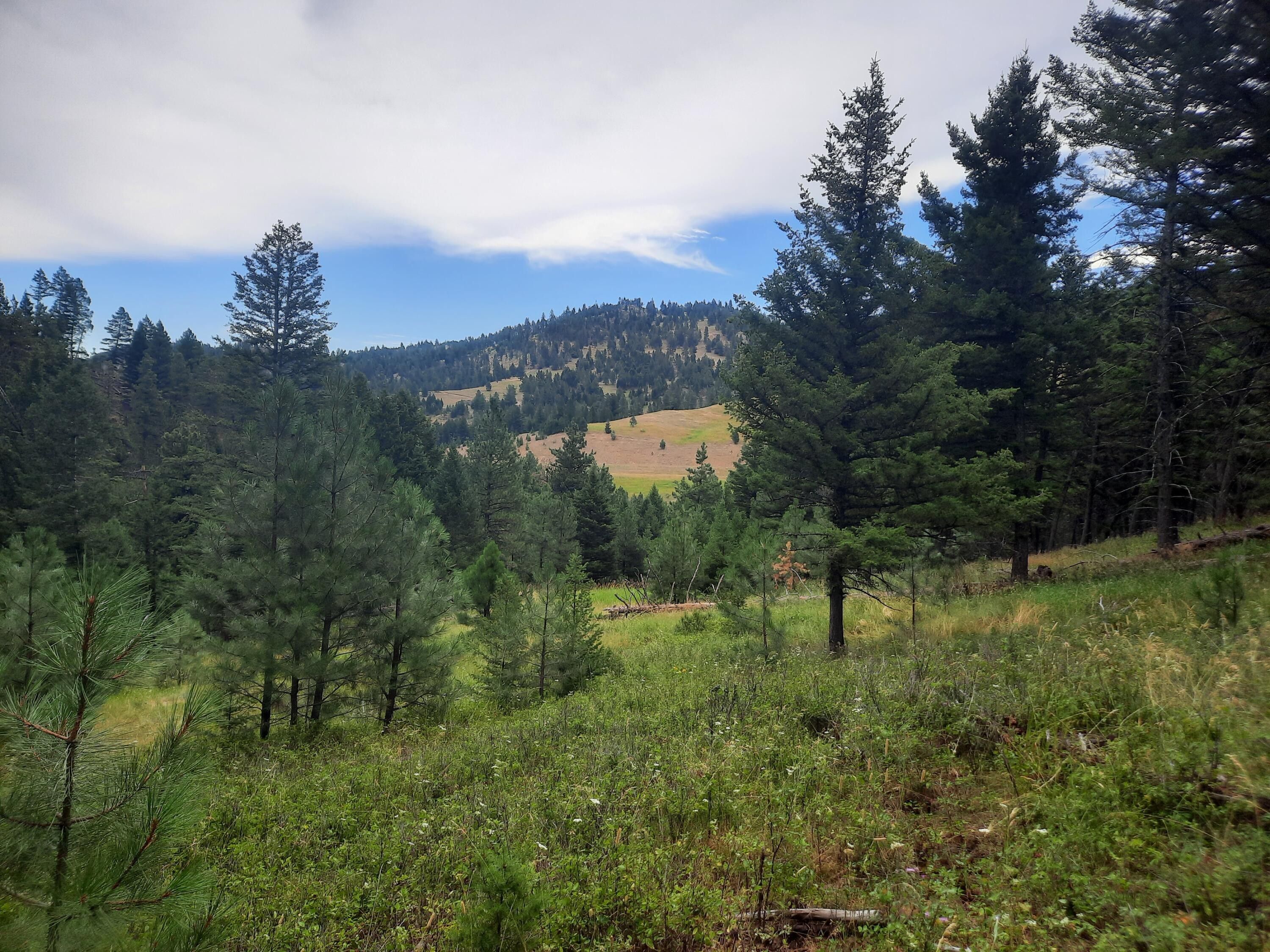 Jefferson City, Jefferson County, MT Undeveloped Land for sale Property ID 414537657 LandWatch