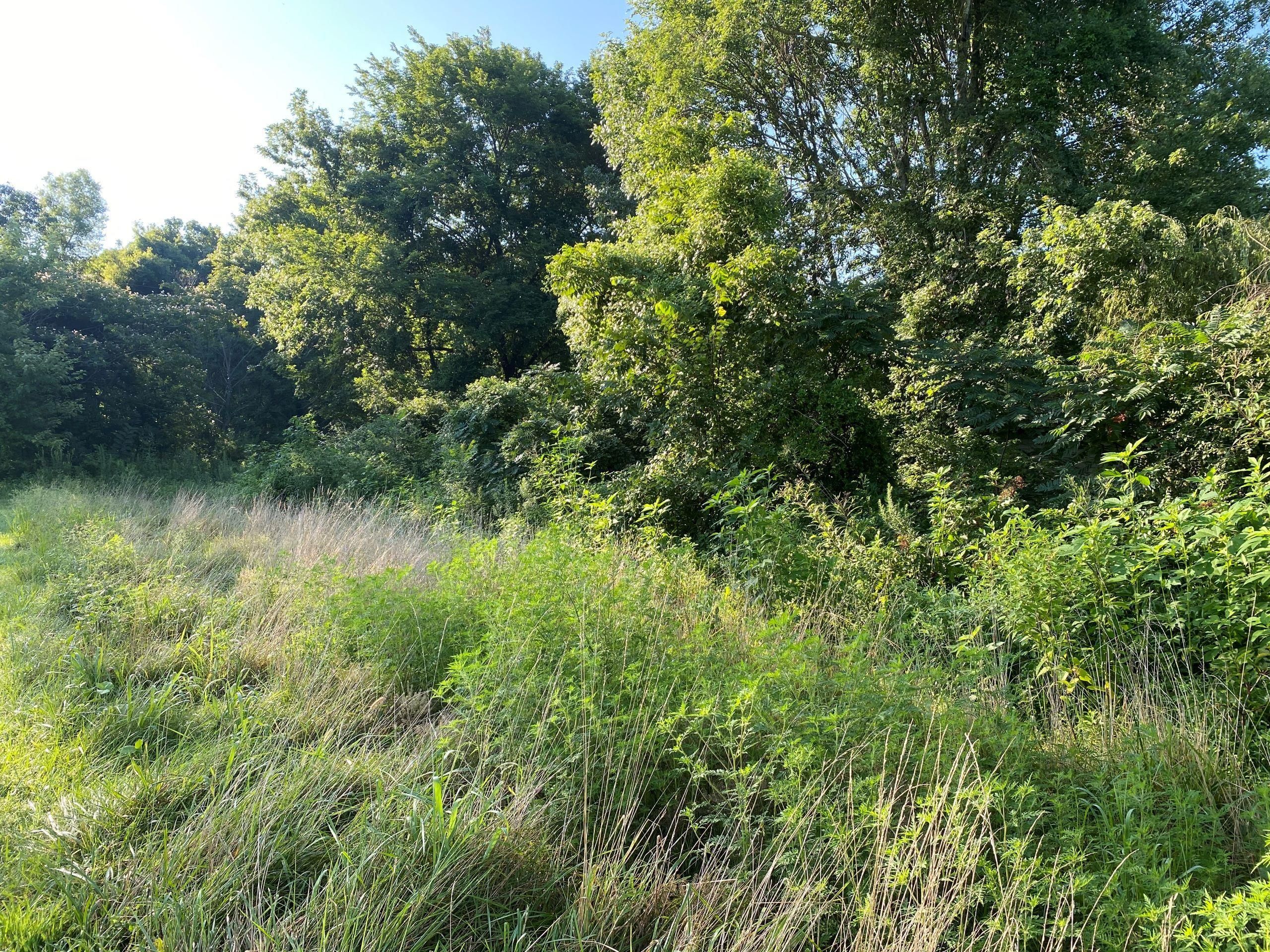 Robards, Henderson County, KY Recreational Property, Timberland