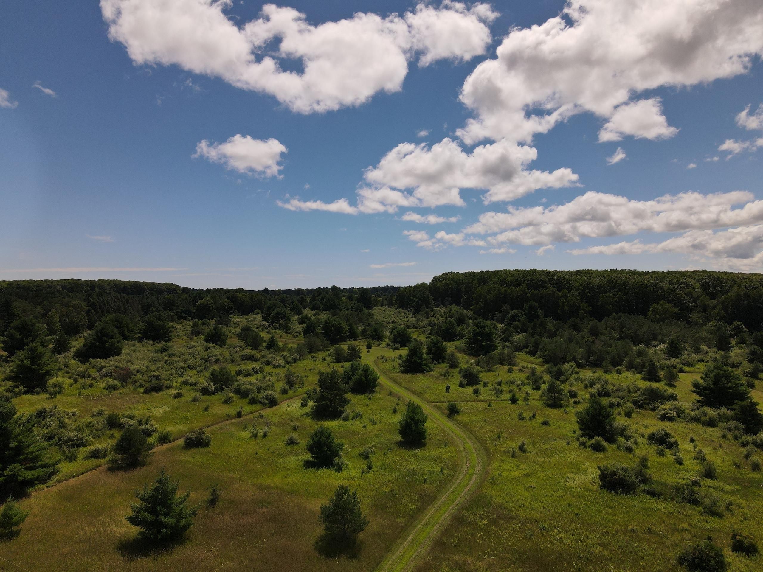 Lincoln, Alcona County, MI Recreational Property, Timberland Property