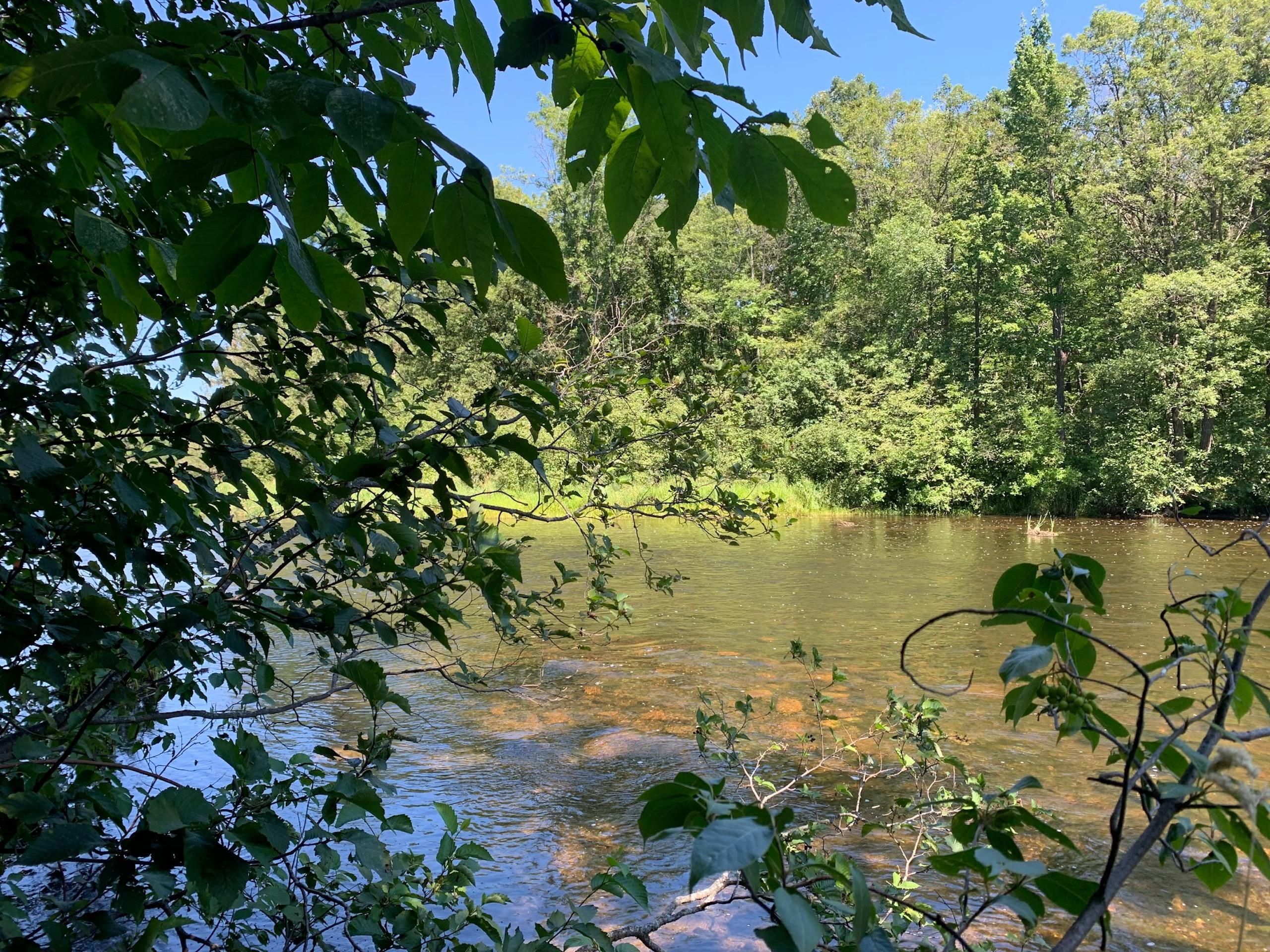 Onamia, Mille Lacs County, MN Recreational Property, Timberland