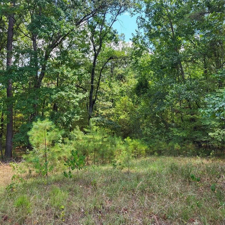 Coldspring, San Jacinto County, TX Undeveloped Land, Homesites for sale