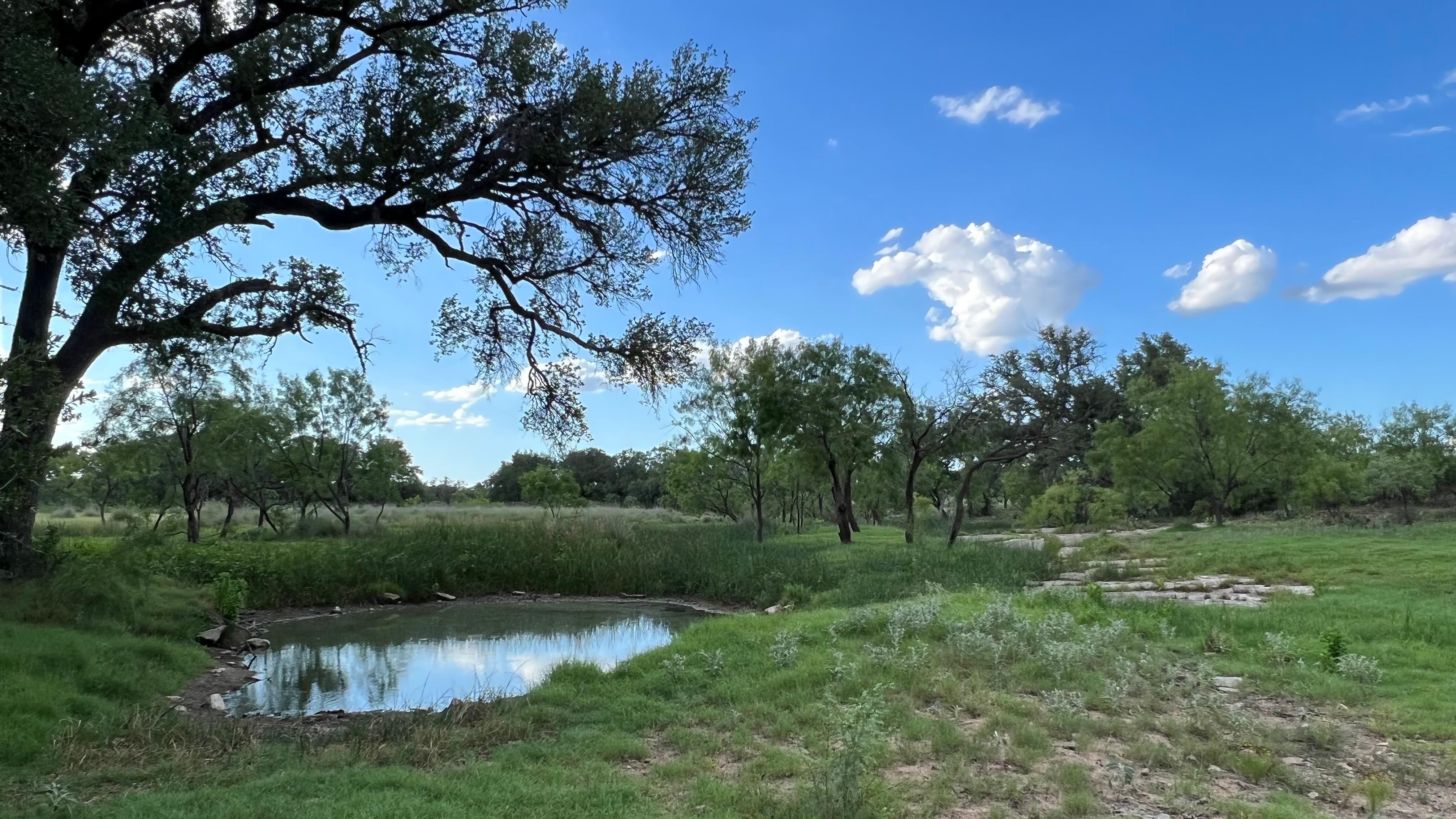 Mason, Mason County, TX Farms and Ranches, Hunting Property for sale