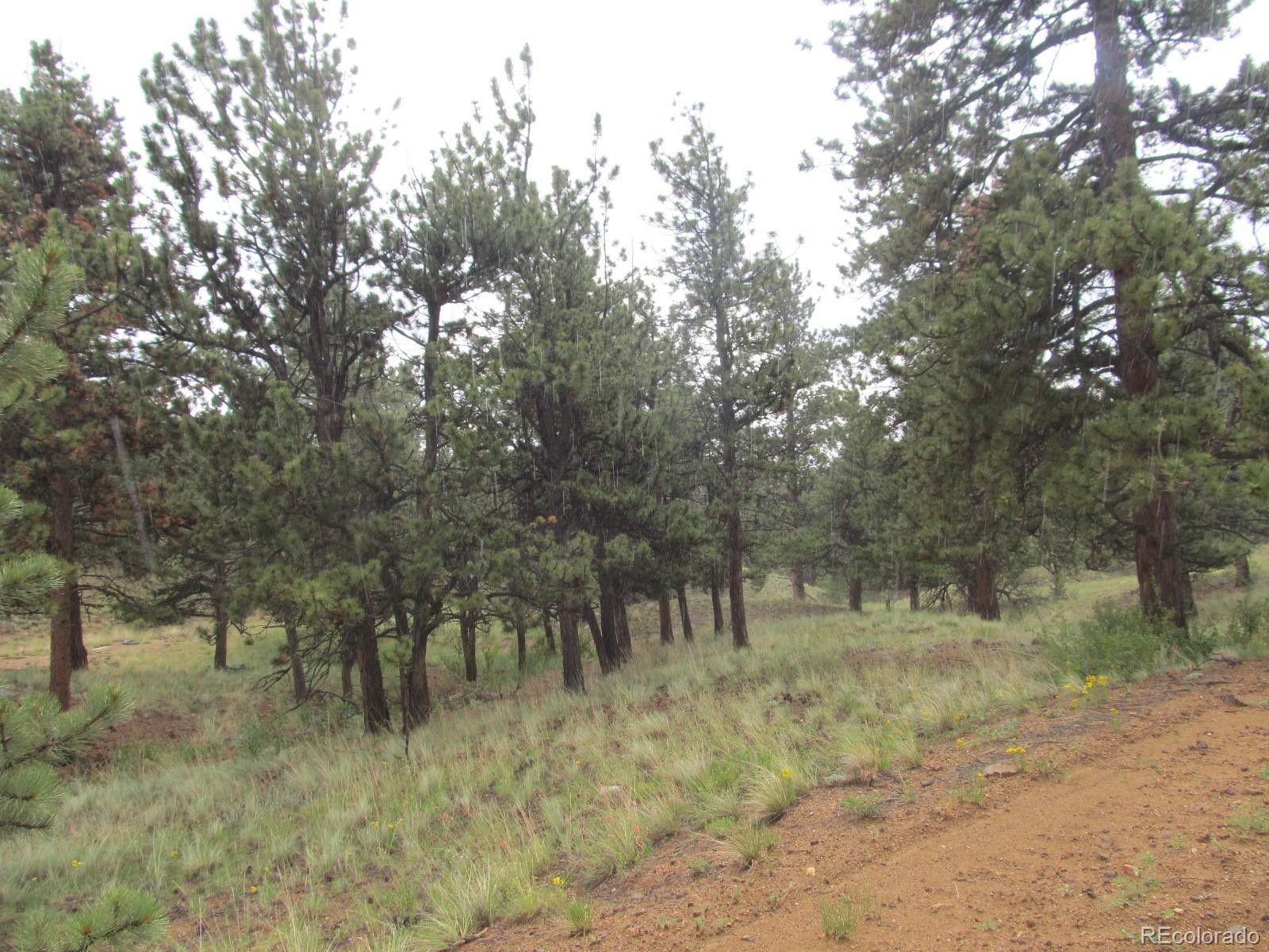 Hartsel, Park County, CO Undeveloped Land for sale Property ID 414405571 LandWatch