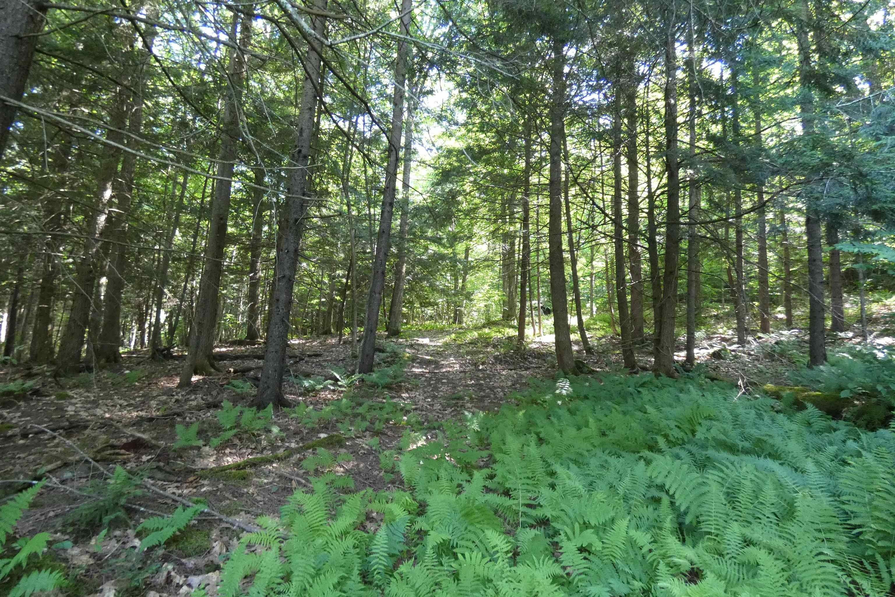 Roxbury, Washington County, VT Undeveloped Land for sale Property ID