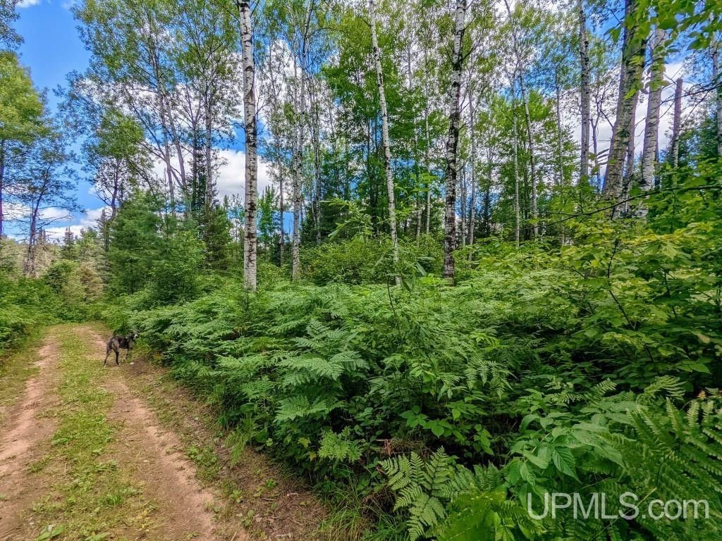 Channing, Iron County, MI Undeveloped Land for sale Property ID