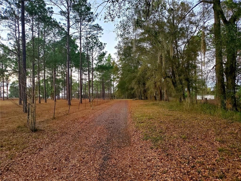 Lee, Madison County, FL House for sale Property ID 414543684 LandWatch