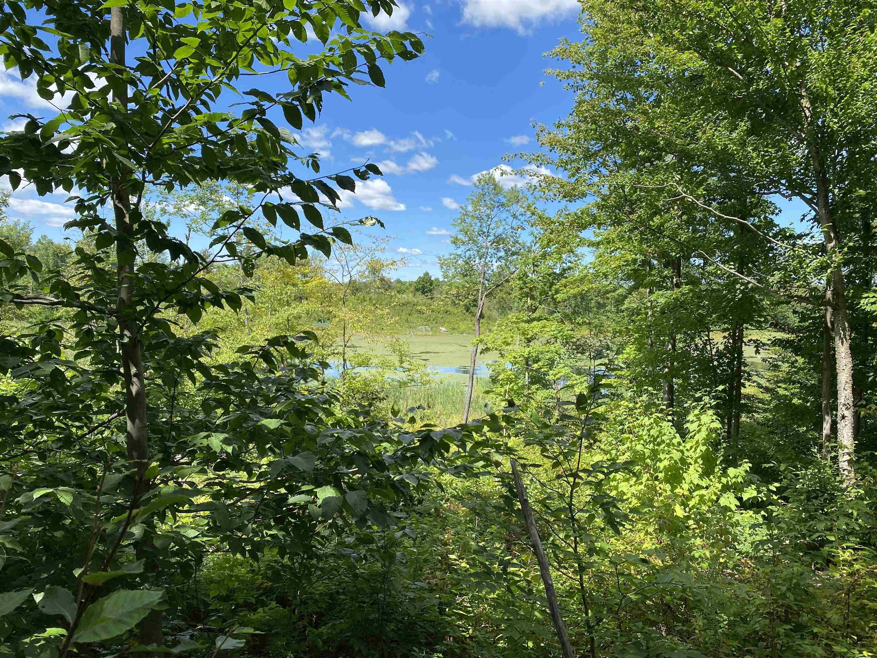 Colton, Saint Lawrence County, NY Undeveloped Land for sale Property ID