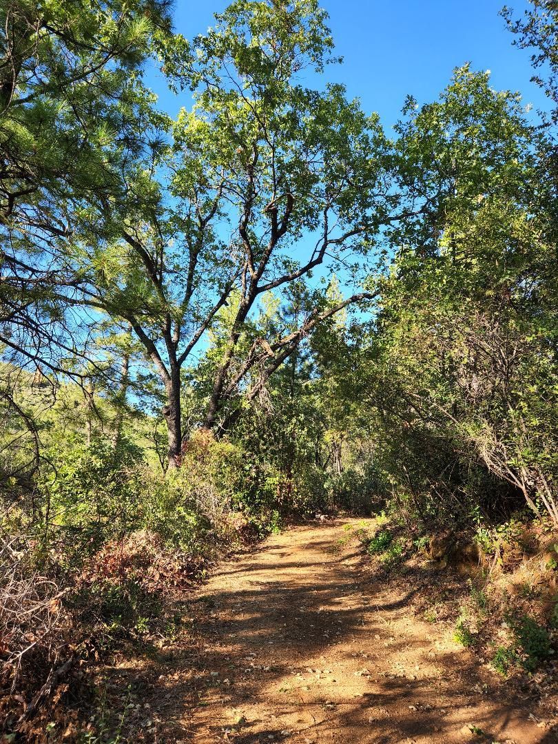 Dobbins, Yuba County, CA Recreational Property for sale Property ID