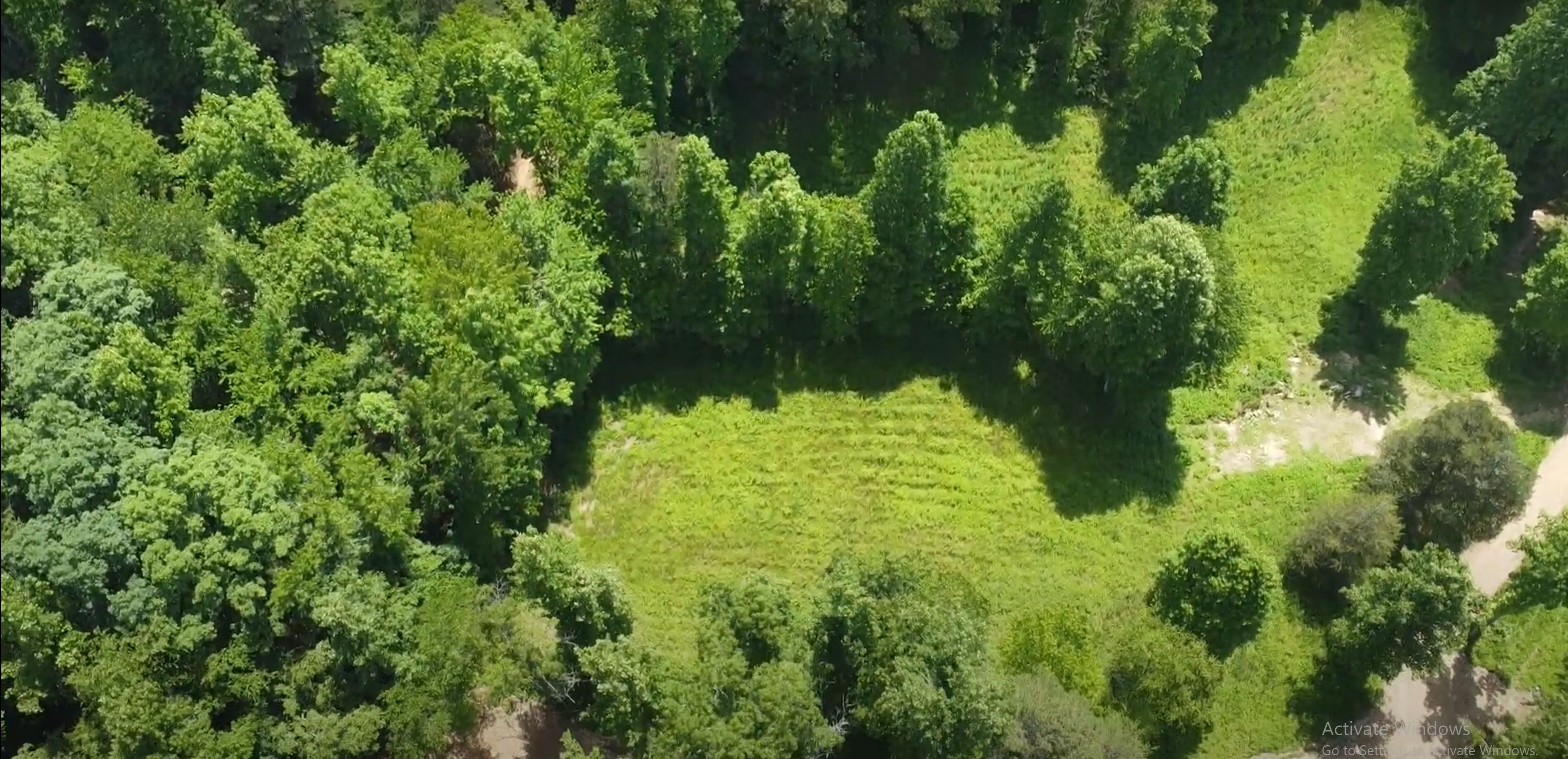 Manchester, Clay County, KY Recreational Property, Timberland Property