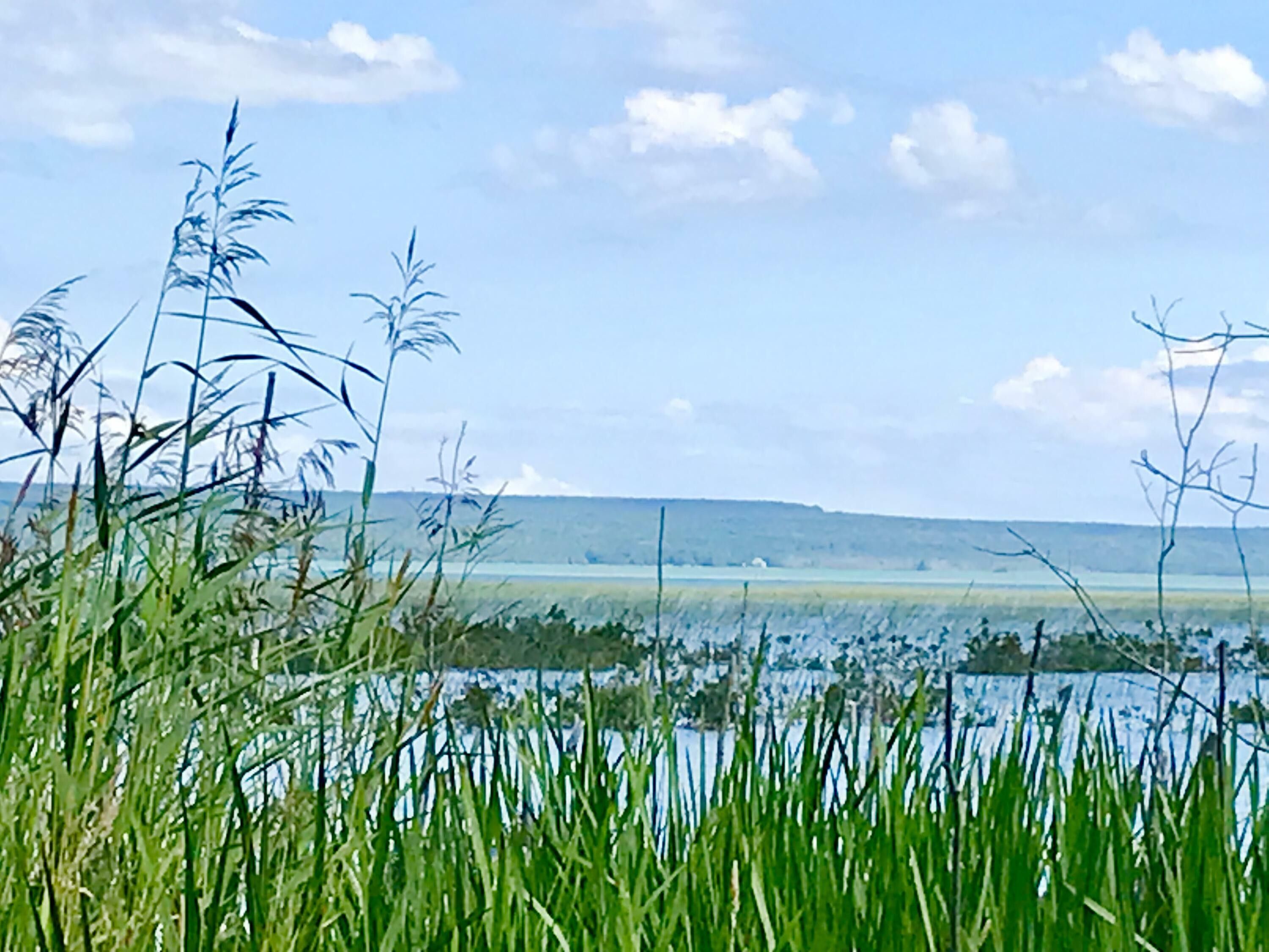 Pickford, Chippewa County, MI Farms and Ranches for sale Property ID 414545474 LandWatch