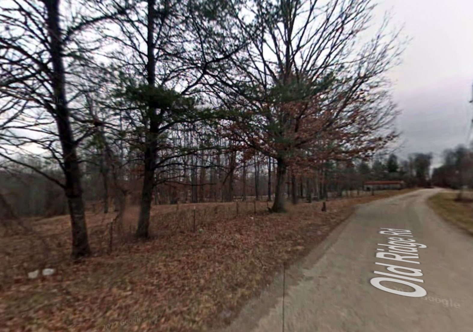 Sparta, Cumberland County, TN Timberland Property, Undeveloped Land for sale Property ID