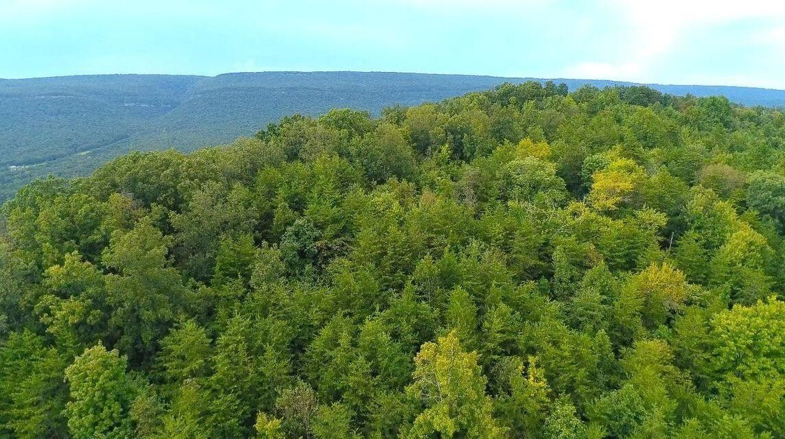 Dayton, Rhea County, TN Undeveloped Land for sale Property ID