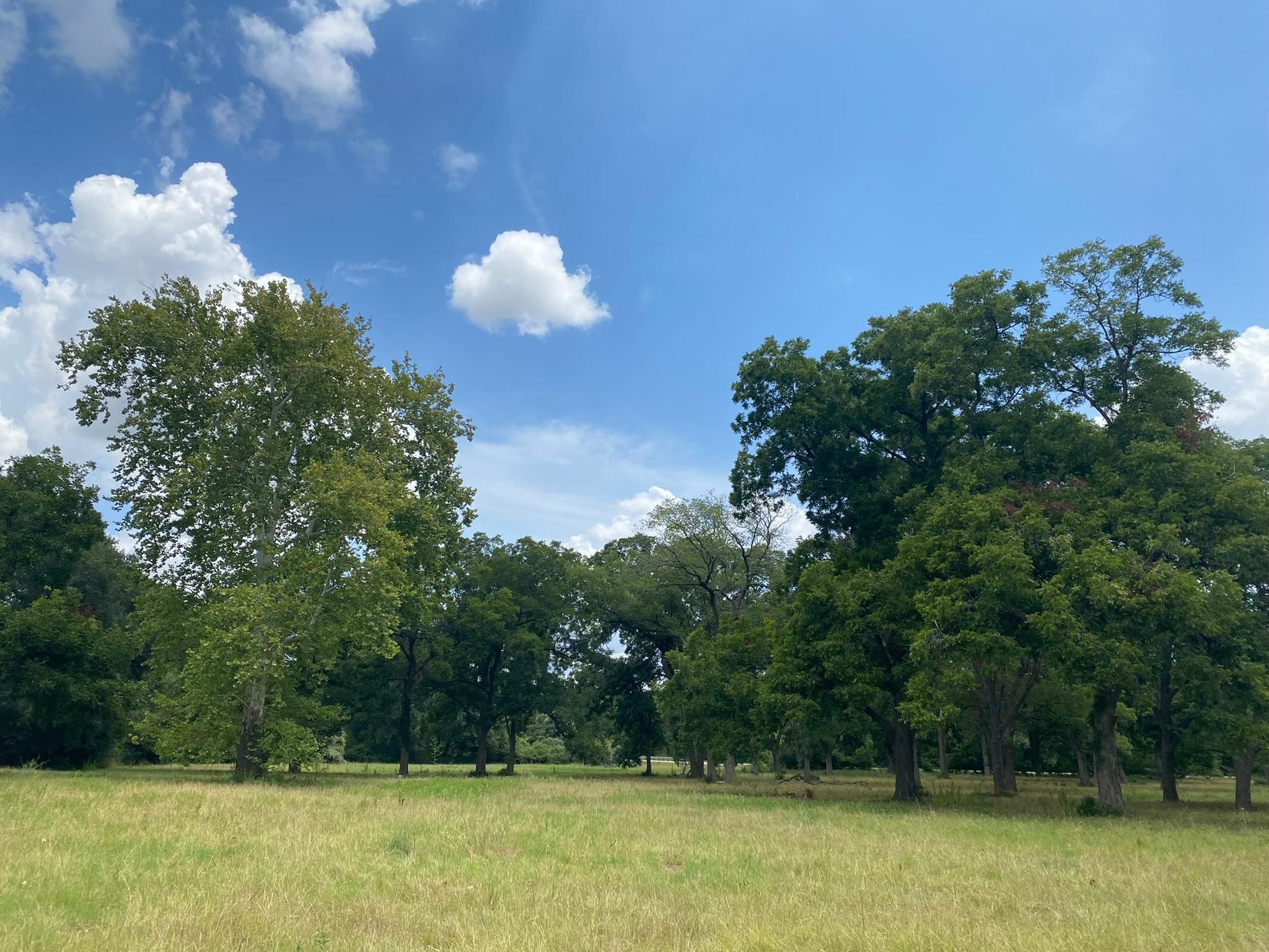 Bryan, Brazos County, TX Recreational Property, Undeveloped Land for