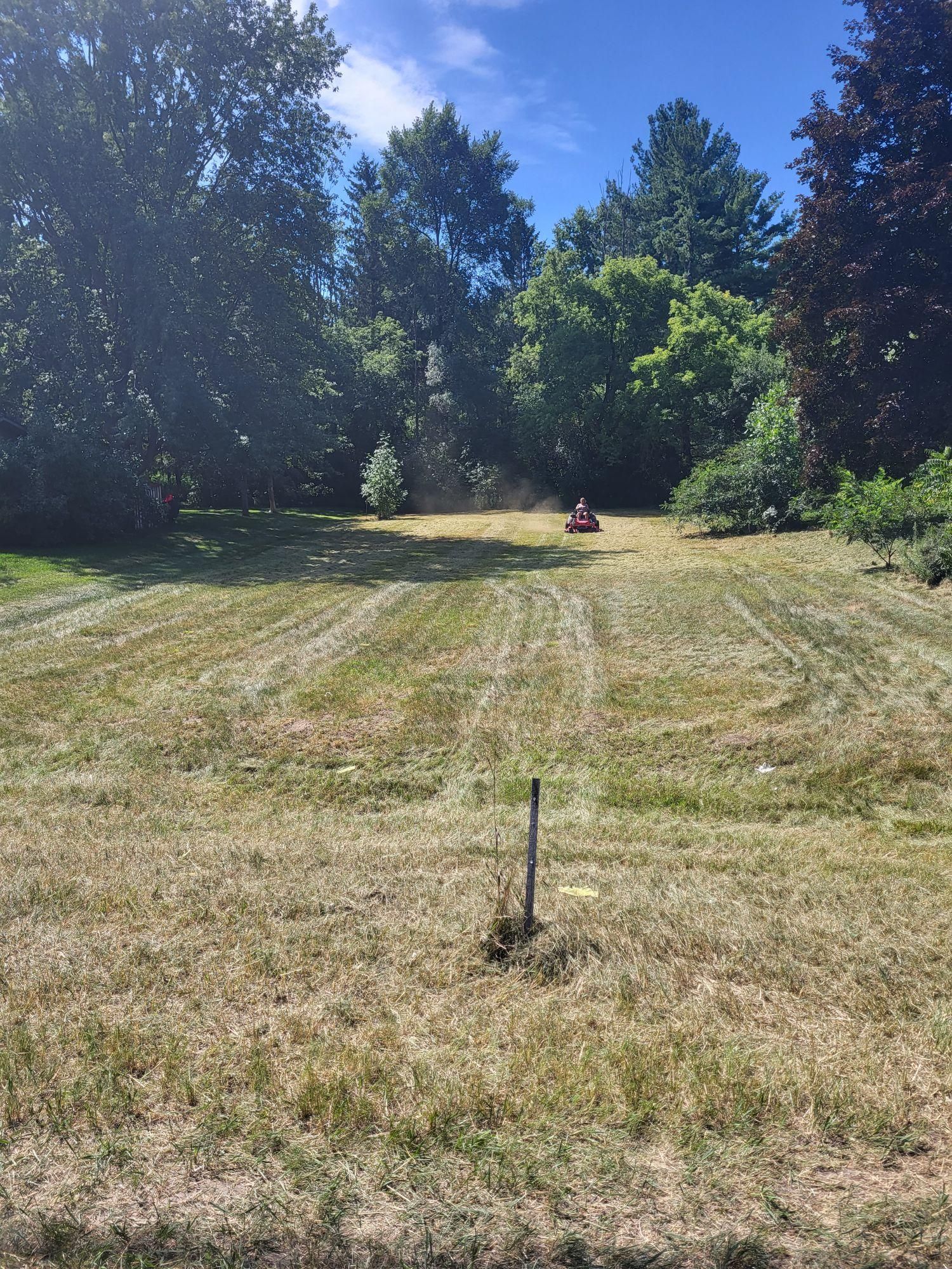 2307 Isabella Street, Midland, MI 48640 LandWatch