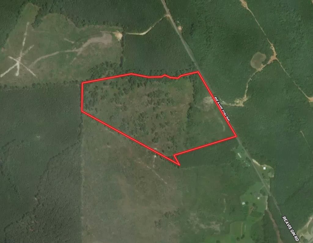 Lawrenceville, Brunswick County, VA Undeveloped Land for sale Property